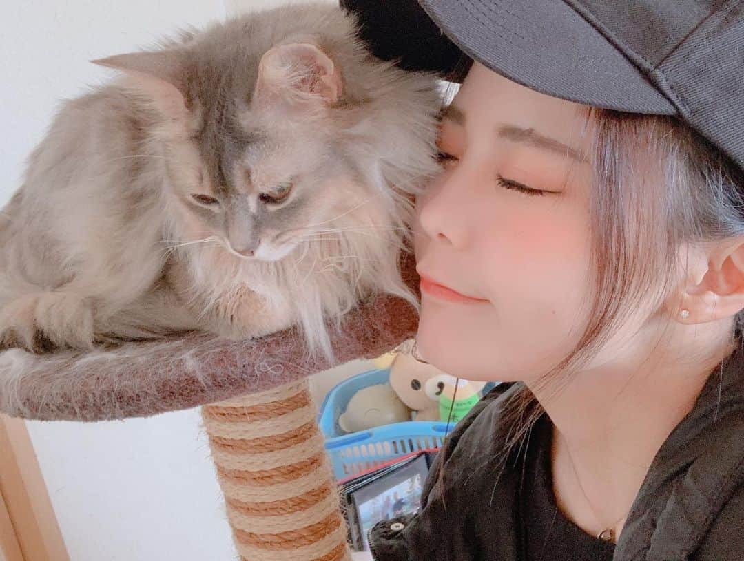 川村虹花さんのインスタグラム写真 - (川村虹花Instagram)「愛しのレイ🐈 もさもさかわいい  #猫のいる暮らし #猫好き #猫好きな人と繋がりたい」3月5日 21時24分 - nanaka_kawamura
