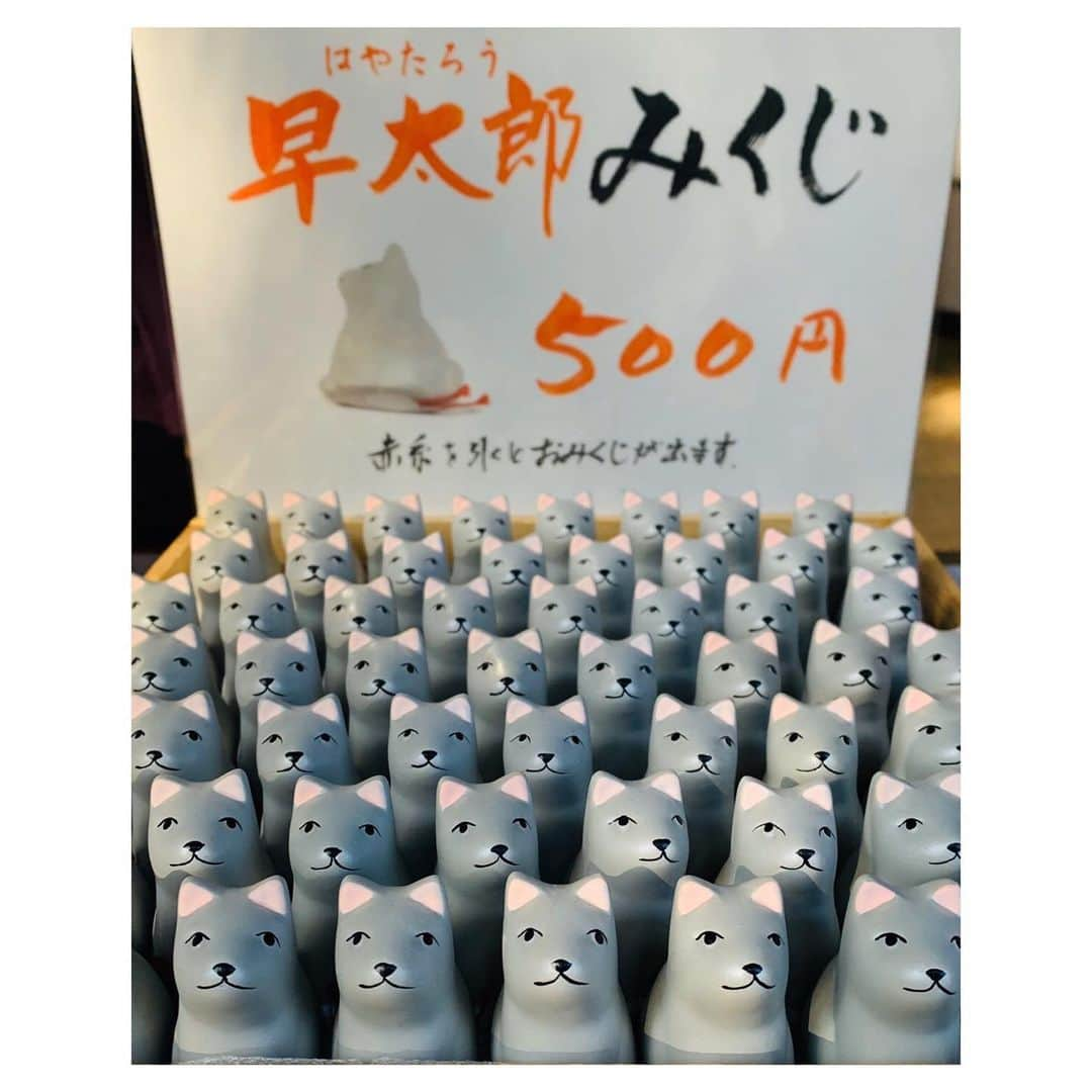 福原遥さんのインスタグラム写真 - (福原遥Instagram)「. 本日、深夜1時からは テレビ東京系ドラマ「#ゆるキャン△ 」 第9話の放送になります☺︎ リンちゃんが行く#わんこ神社　こと#宝積山光前寺　にある早太郎みくじ🐕 大好きな犬を目の前にリンちゃん、テンションがとても上がっておりました。 いいことがたくさん書いてあったな〜。 今夜も是非観てください♪」3月5日 22時08分 - haruka.f.official