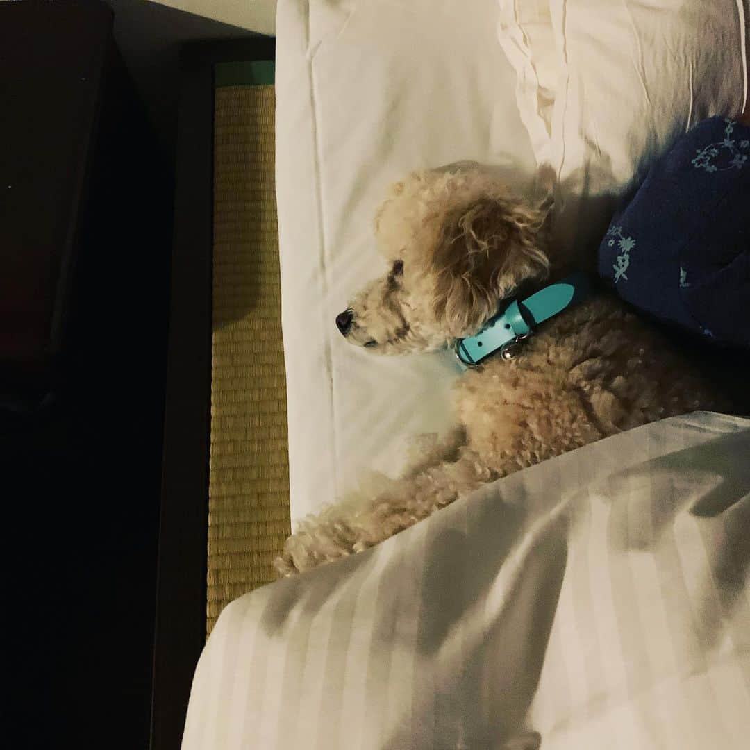 金村義明のグルメインスタ