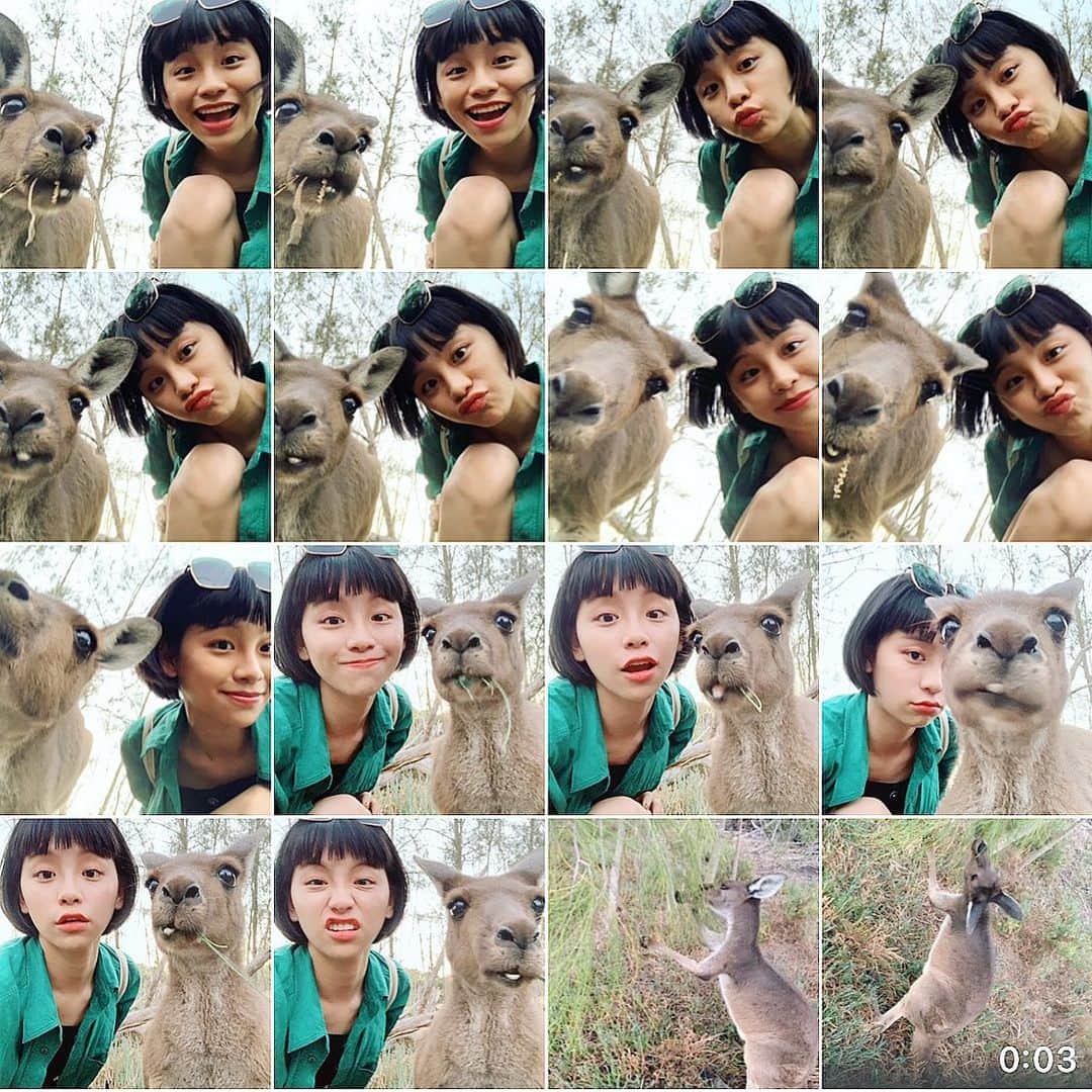 る鹿さんのインスタグラム写真 - (る鹿Instagram)「Hello my friend 👋  #selfie with 🦘」3月5日 23時25分 - luluxinggg