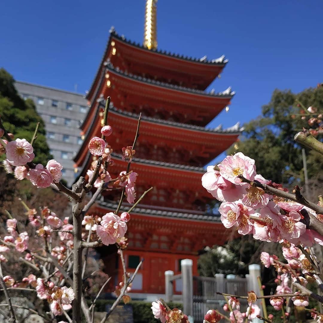 福岡市のグルメインスタ