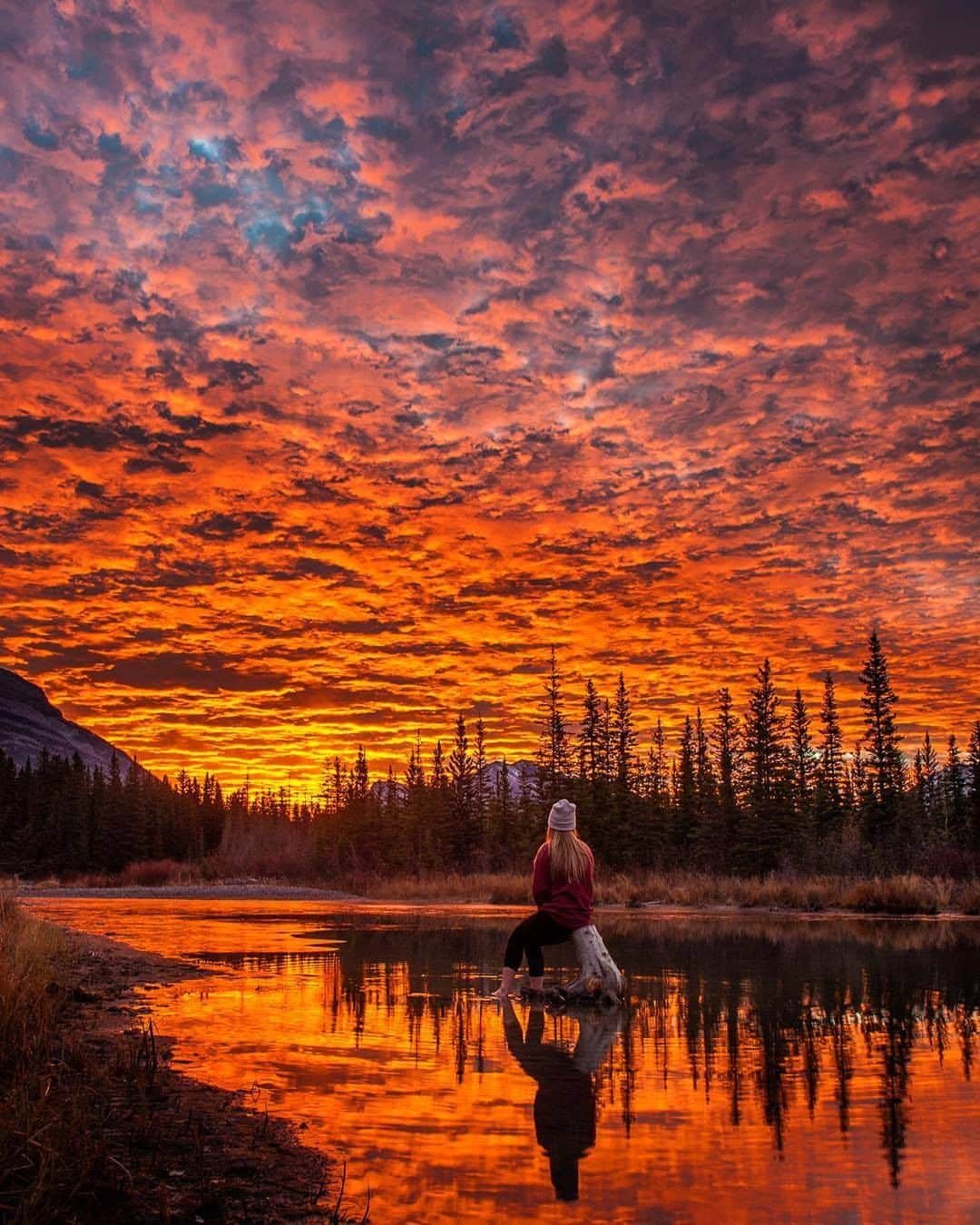 Discover Earthさんのインスタグラム写真 - (Discover EarthInstagram)「"One of my favourite mornings ❤️ still can’t believe this sunrise was real. Taken at Policeman’s Creek in Canmore, Alberta!" 🇨🇦 #DiscoverCanada Photo and caption by @mireillegrayphoto」3月6日 1時55分 - discoverearth
