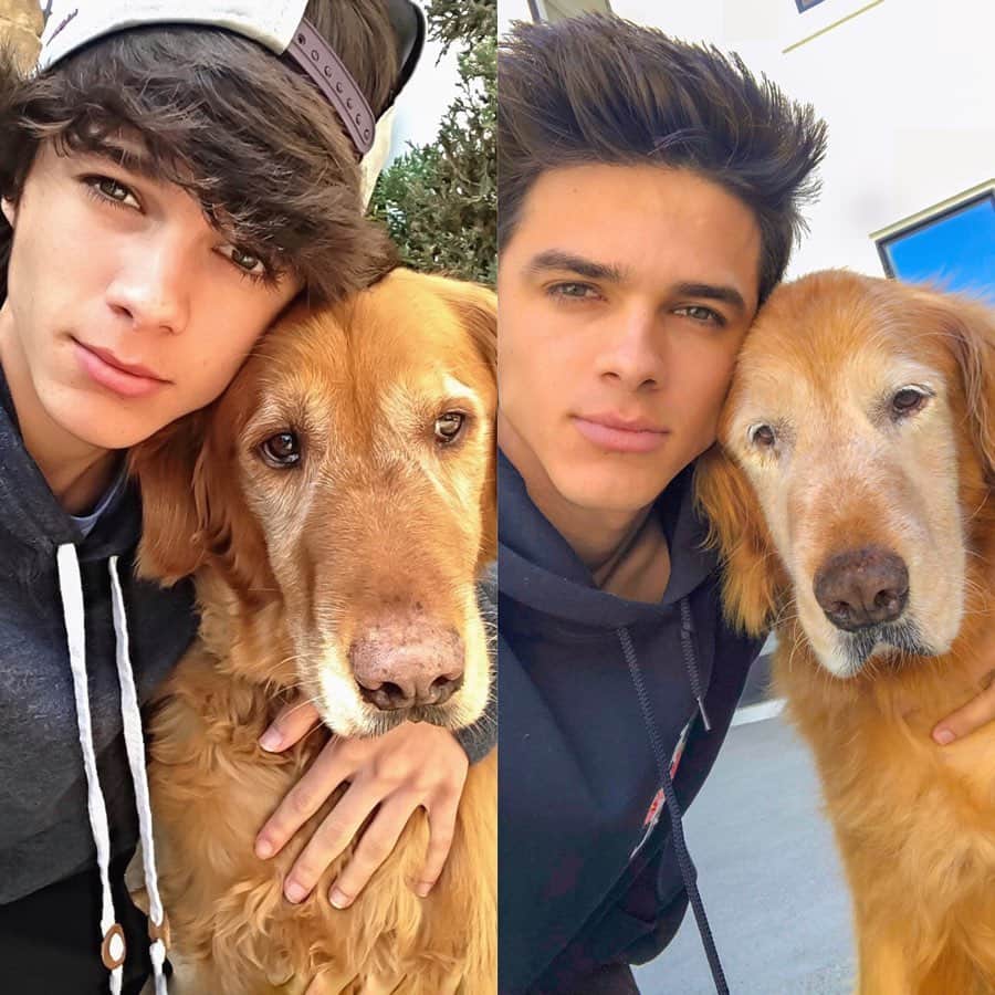 Brent Riveraのインスタグラム：「Rest In Peace Becker ❤️ When we first got you 15 years ago, I remember being so happy. You were always there for each and every one of us and you showed unconditional love. Thank you for being the best dog ever. Love you and rest easy ❤️」