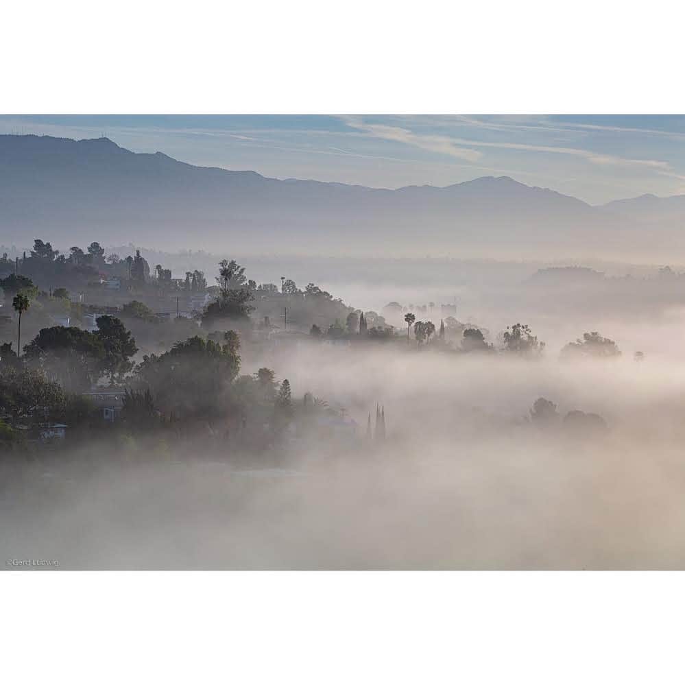 Gerd Ludwigさんのインスタグラム写真 - (Gerd LudwigInstagram)「Woke up to this beautiful view from my deck in Los Angeles this morning.  @thephotosociety #LosAngeles #morning #fog」3月6日 2時59分 - gerdludwig
