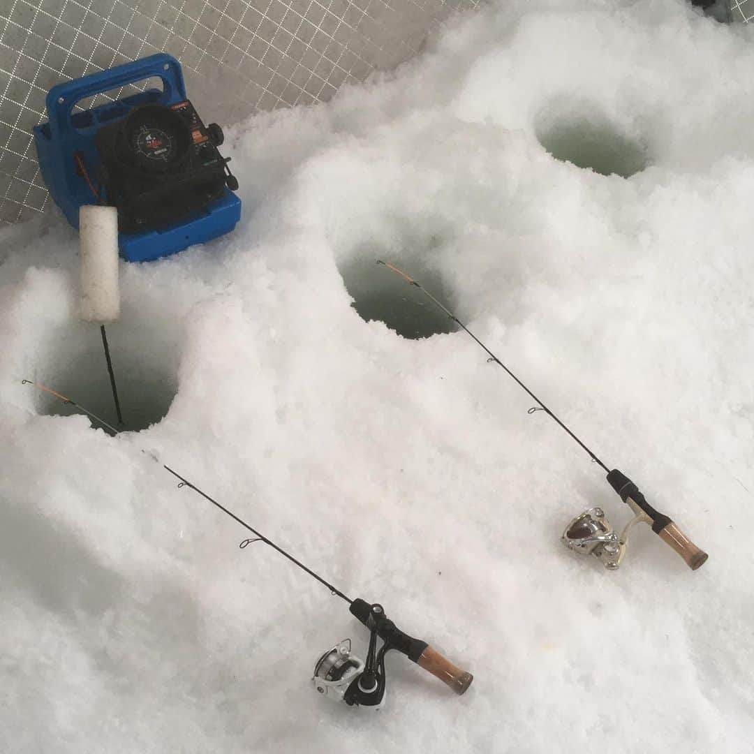 アウル・シティーのインスタグラム：「Kind of a Crappie day. No bites. Thought I would have Betta luck. Getting schooled. Feeling whaley upset, I need to clam down. If you got good fish puns, let minnow.」