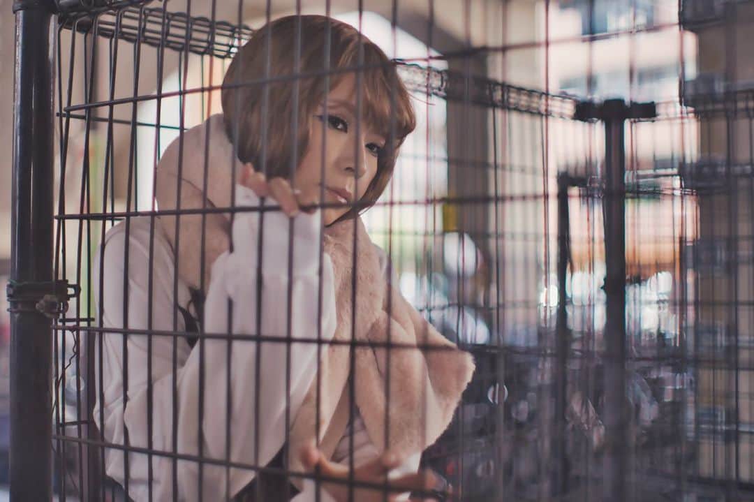 のインスタグラム：「﻿ ﻿ －連れ出してくれると信じてる｡－﻿ ﻿ ﻿ Photo&Retouch：KuMi/ @kumi.team_no_brand ﻿ model： @omatsudayo ﻿ ﻿ ﻿ #札幌モデル #被写体﻿ #ポートレート #広がり同盟 ﻿ #その瞬間に物語を ﻿ #ポートレートセクション ﻿ #portraitphotography ﻿ #pashastyle #pasha_magazine ﻿ #lovers_nippon_portrait ﻿ #ray_moment #jp_portrait部 ﻿ #jp_mood #jp_portrait部 ﻿ #japan_portrait_club ﻿ #IGersJP #team_jp_ ﻿ #portraitphotography ﻿ #lovers_nippon_portrait ﻿ #jp_gallery #indies_gram ﻿ #ig_bless_women ﻿ #good_portraits_world ﻿ #splus_cameraclub ﻿ #amazing_shotz ﻿ #portraitvision_ ﻿ #portrait_mood ﻿ #jp_gallery #indies_gram」