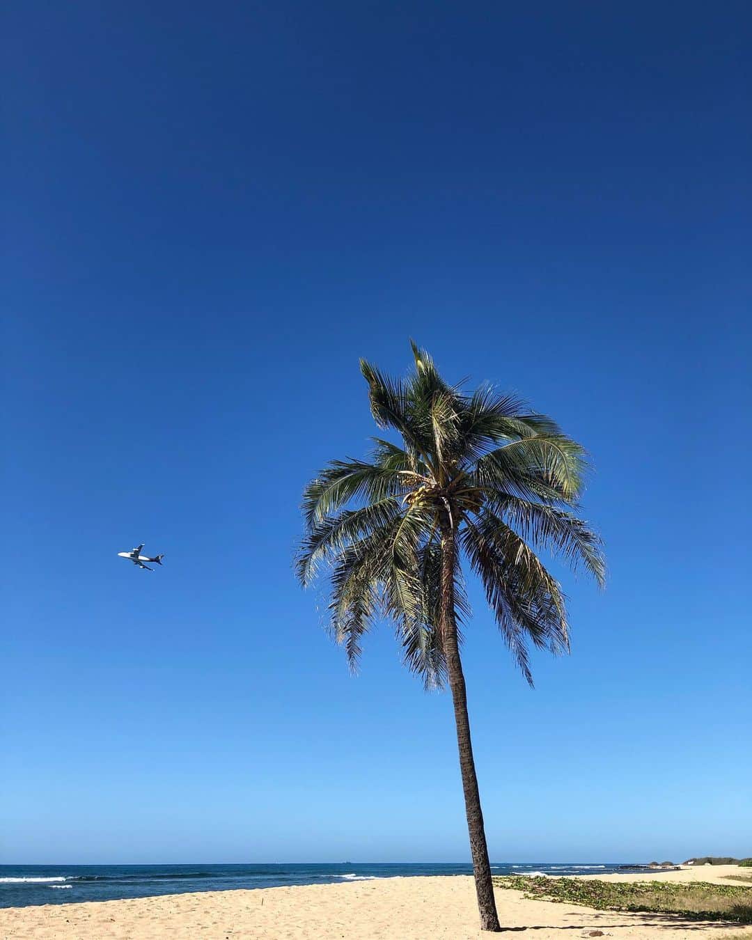 鮎河ナオミさんのインスタグラム写真 - (鮎河ナオミInstagram)「Aloha Friday🌴 . . . . . #noclouds #aloha #happyfriday #hawaii #ハワイ」3月6日 5時38分 - naomiayukawa
