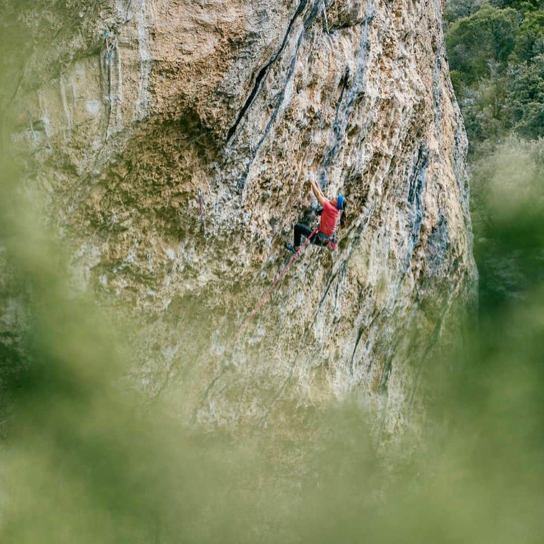 アンナ・シュテールのインスタグラム：「Au revoir la France! I will miss the numerous tufas, the delicious cheese & baguette and of course the stoke of @babsizangerl & @jacopolarcher ! What stood out during this trip for me was working on various beautiful climbs with babsi. Thanks for sharing your beta, for encouraging me on every route and for being who you are. Can‘t wait for the next trip! • 🙏 for the pictures: @jacopolarcher • @salewa @lasportivagram @innsbrucktourism @wildcountry_official」