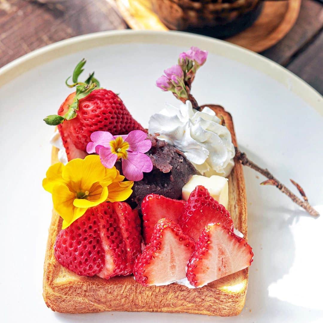 きょん。のグルメインスタ