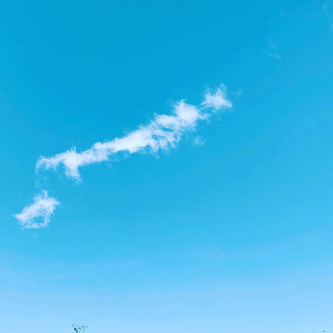 中野敬久さんのインスタグラム写真 - (中野敬久Instagram)「#cloud #sky #yawningdog #maybe #yawningcat #fun #guessing」3月6日 9時01分 - hirohisanakano