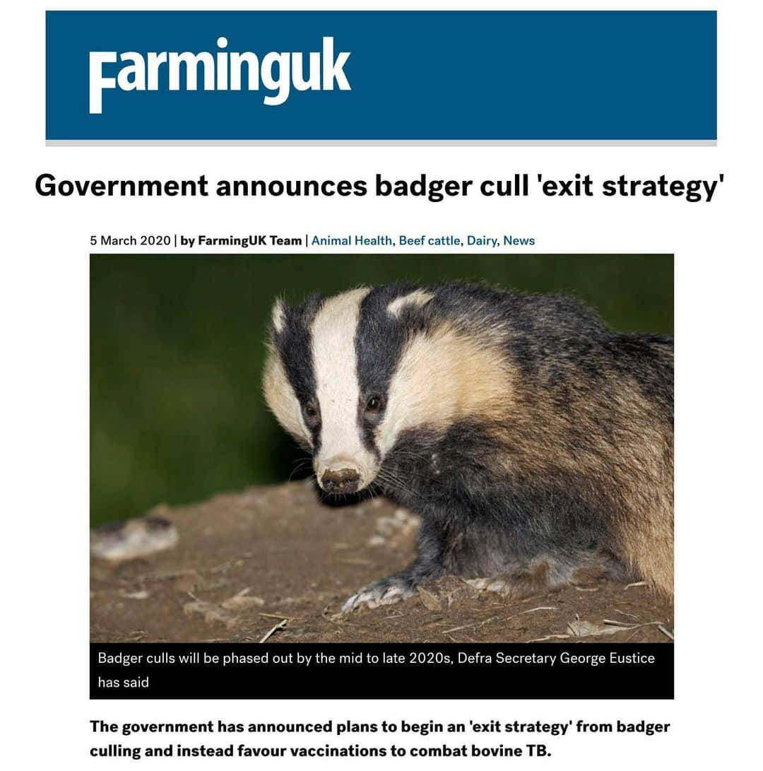 ブライアン・メイさんのインスタグラム写真 - (ブライアン・メイInstagram)「Our Save-Me response to the new Government announcement today - that badger culling is to be phased out as part of a new strategy to combat bovine TB in UK cattle.  Please keep swiping.  More details at @anneatsaveme and Savemetrust.org. —- Bri」3月6日 8時55分 - brianmayforreal