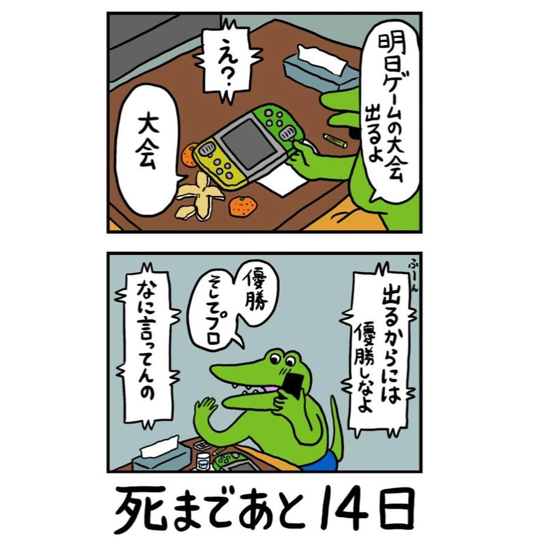 きくちゆうきさんのインスタグラム写真 - (きくちゆうきInstagram)「#100日後に死ぬワニ 86日目」3月6日 19時01分 - yuukikikuchi