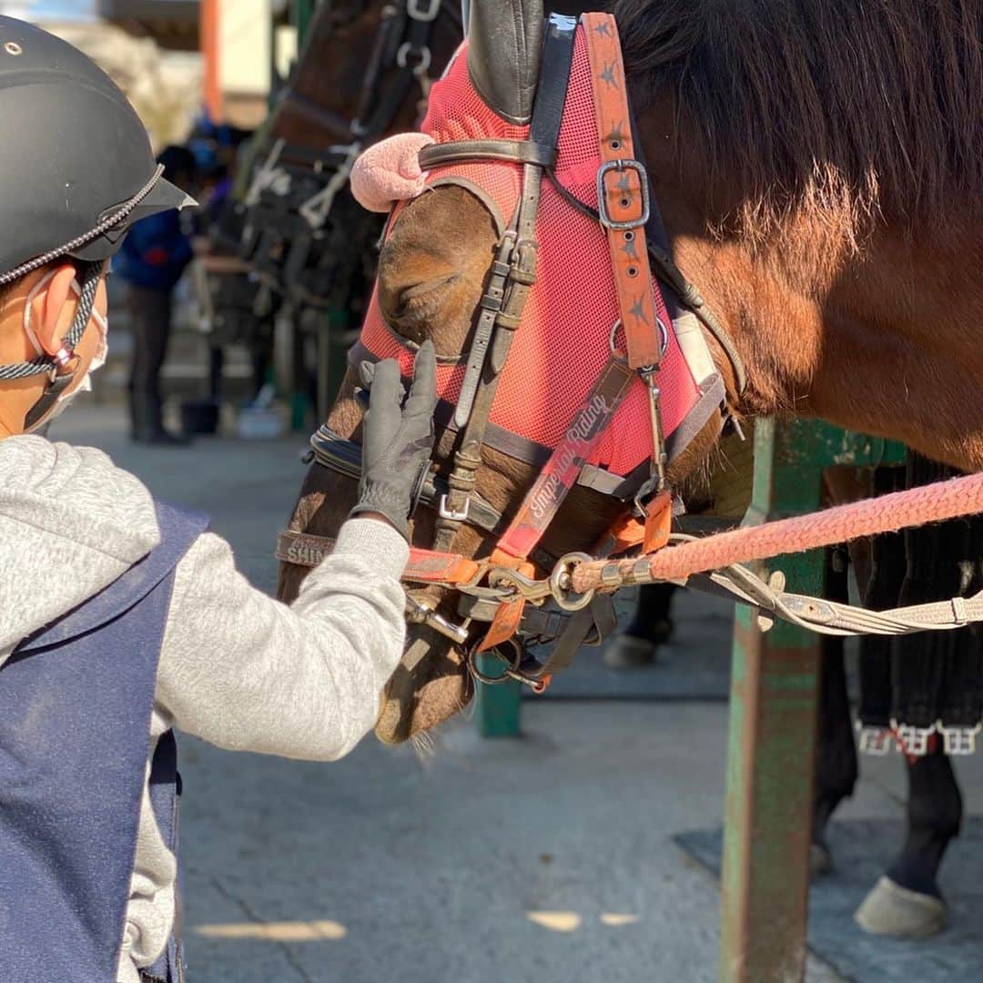 二ノ宮知子さんのインスタグラム写真 - (二ノ宮知子Instagram)「長男コウが好きな馬。女の子。 今日は弟が乗ったので悔しかったらしい。」3月6日 19時59分 - tomokoninomiyaa