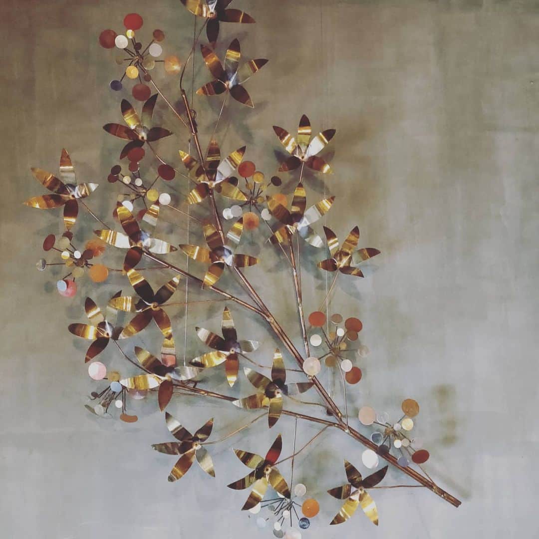 パスタ食堂 アントロワのグルメインスタ