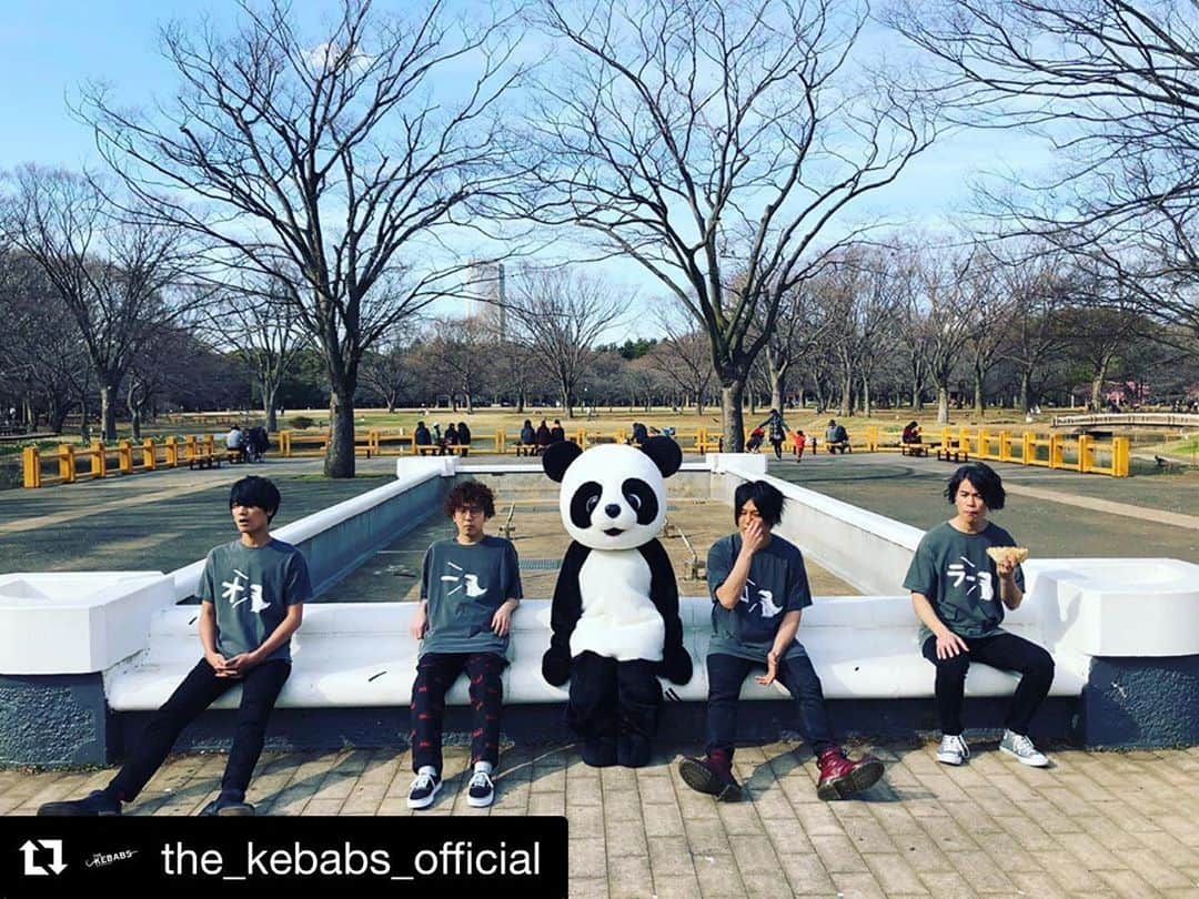 堀田茜さんのインスタグラム写真 - (堀田茜Instagram)「前から好きでライブにも足を運んでいたバンドTHE KEBABSさんの新曲「オーロラソース」のMVに出演しています🐼 どこに出演してるか…見ればわかるはず🐼 そしてTHE KEBABSさん1stアルバムが出たそうです👏かっこいい！最高！ みんなも聞いてみてほしい🐼 こんなときだからこそ音楽たくさん聴こう❤️ @the_kebabs_official」3月6日 20時09分 - akanehotta