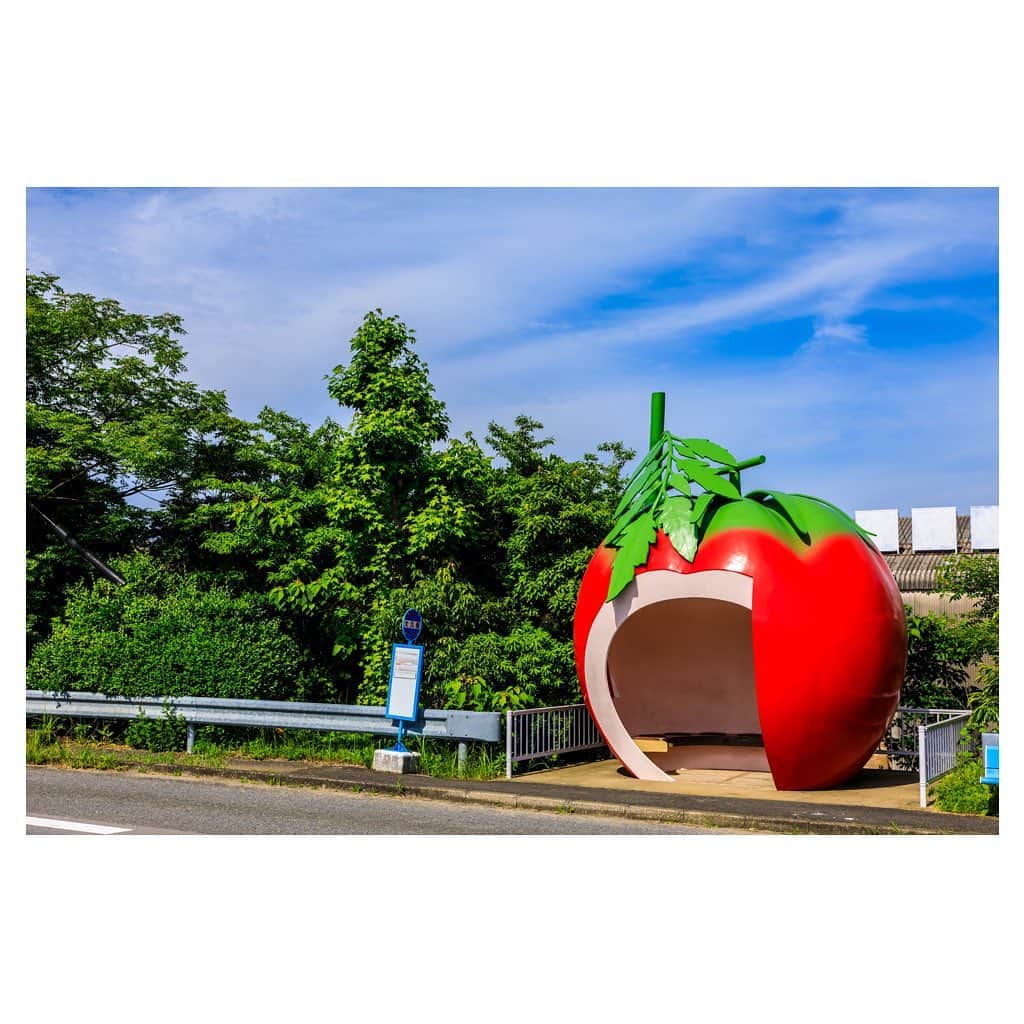 Skyticket.jpさんのインスタグラム写真 - (Skyticket.jpInstagram)「毎月6日はメロンの日！🍈長崎 #フルーツバス停 ﻿ ﻿ SNSでも話題となっている、#長崎 県#諫早 市のバス停。1990年に行われた長崎旅博覧会で訪れた人を和ませるため、当時の小長井町が設置したものです。メロンの他にもイチゴ、トマト、スイカ、オレンジが計16か所あります。どれも小長井町の特産品なんだとか。 ﻿ 16か所、どこにどのようなフルーツがあるかぜひ探してみてください！ ﻿ ﻿ ﻿ スカイチケット観光ガイドでは、諫早市のおすすめスポットを紹介中。長崎旅行の参考にぜひ🎫 https://skyticket.jp/guide/47322 ﻿ ﻿ 🍈🍓🍉🍊🍅🍍🥑🥦﻿ フルーツバス停 ﻿ 住所：長崎県諫早市小長井町　国道207号線 電話：0957-22-1500（諫早市役所） ﻿ https://www.city.isahaya.nagasaki.jp/post03/1452.html 🍈🍓🍉🍊🍅🍍🥑🥦﻿ ﻿ ・ ﻿ ・ ﻿ ▼旅先の絶景やおすすめ写真を大募集📷 ﻿ #skyticketrip を付けた投稿はストーリーズでご紹介させてください🌈」3月6日 12時13分 - skyticket.jp
