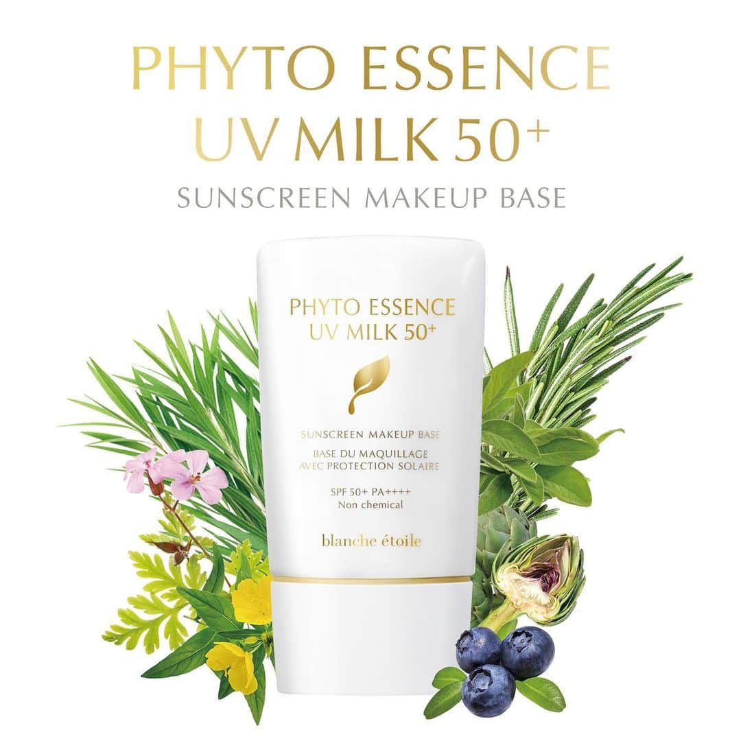 blanche étoileさんのインスタグラム写真 - (blanche étoileInstagram)「. 本日発売されました PHYTO ESSENCE MILK 50+ フィトエッセンスミルク . 優しく軽やかなPhyto(植物)の ヴェールで、降り注ぐ紫外線から 素肌を守りケアする日焼け止め乳液🌿 . 厳選された天然精油の豊かな 爽快感あふれる香りとともに、 素肌の未来の可能性を守り高めてくれます💕 . お肌に負担をかけることなく、 高い紫外線防止効果でお肌を守ってくれますよ☀️ お顔以外に全身にもご使用頂けますので、 ぜひお試し下さいませ☺️ . #濱田マサル #blancheétoile #ブランエトワール #PHYTOESSENCEMILK50 #フィトエッセンスミルク #日焼け止め #紫外線対策 #beautyproducts  #化妆品」3月6日 12時19分 - blanche_etoile