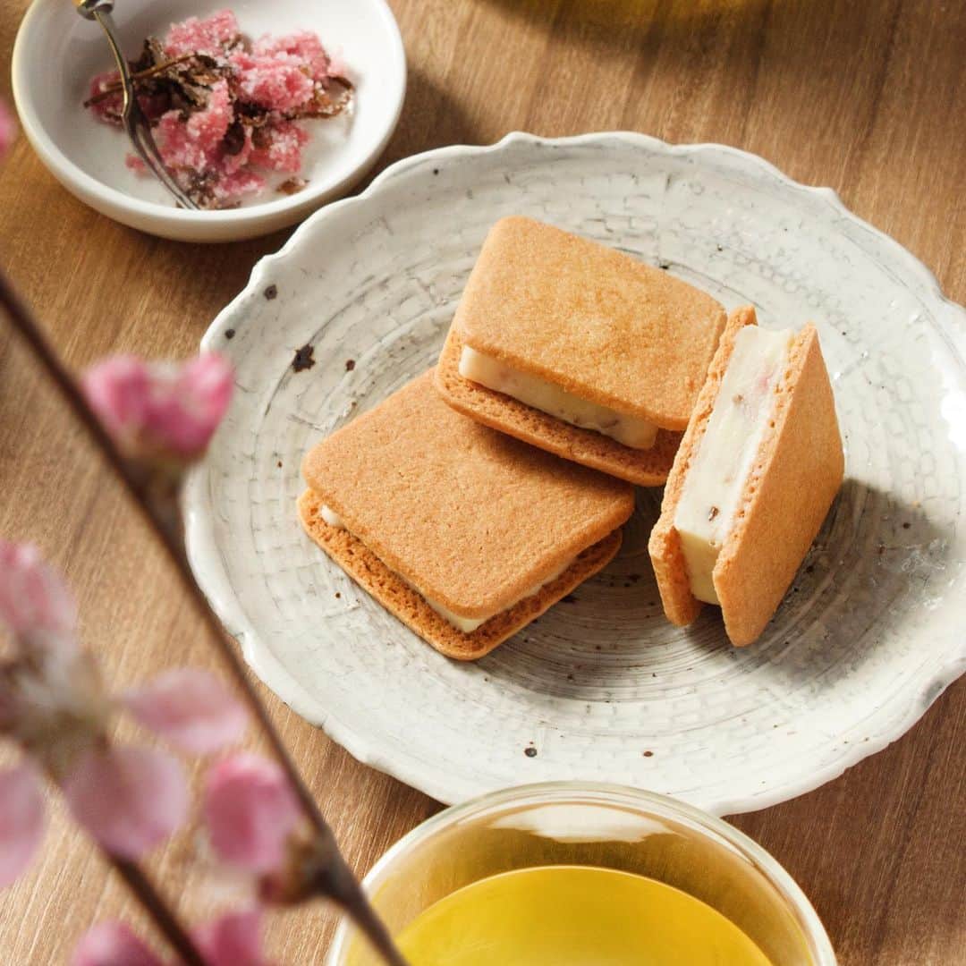 横浜生まれのチョコレート専門店 バニラビーンズのグルメインスタ