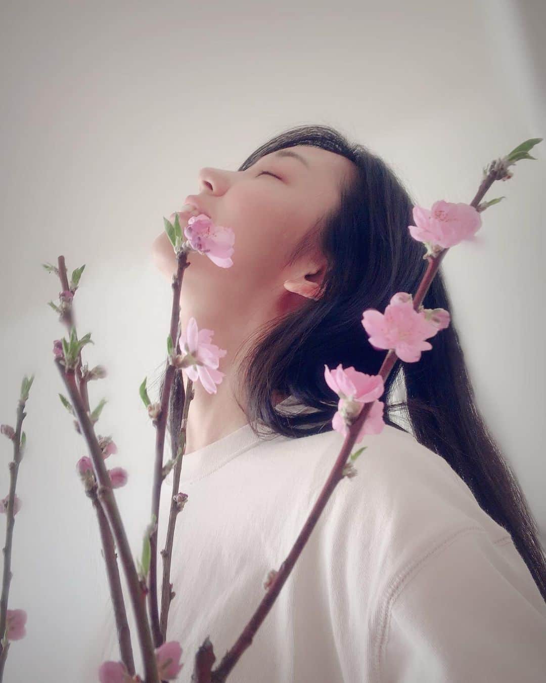 のインスタグラム：「3月のお花💐 桃の花🍑 雛祭り🎎の月だもんね！  花粉症だけど花は飾るで候。  This month , March flower  its a Peach blossom. that's why we had a doll festival on march 3rd.  I have an allergy to pollen. But I decorate my room with flowers . Definitely ...Yes!  #flowers  #peachblossom  #dollfestival  #march #3月  #3月の花 #花 #花のある暮らし  #花を飾る」