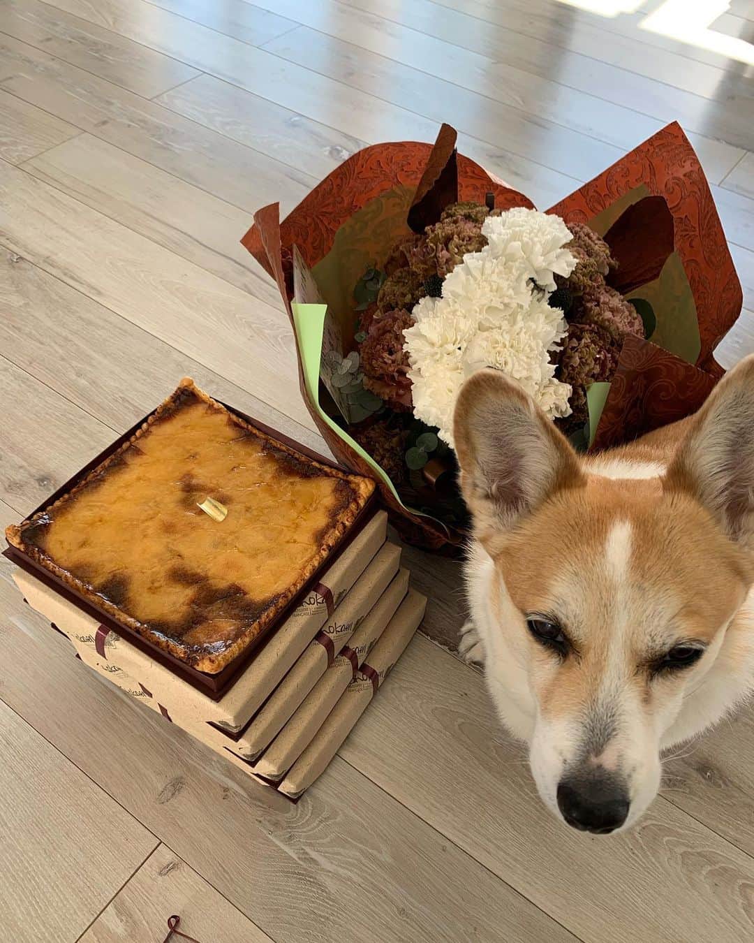 橋本志穂さんのインスタグラム写真 - (橋本志穂Instagram)「今日は美味しいパイと イチゴさんが届きました❣️ わーいわーい🙌 こうして引きこもって 食べてばかりで ヤバイ。。そろそろ運動もしなければ」3月6日 13時36分 - shihohashimoto3