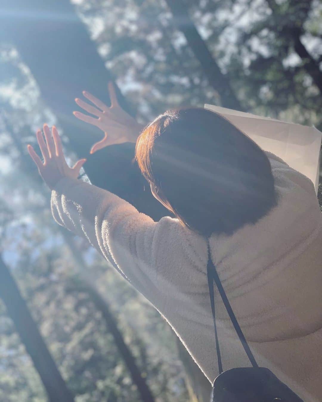 手島優さんのインスタグラム写真 - (手島優Instagram)「おひさまが凄かった☀️‼️ #太陽　#森林浴」3月6日 13時55分 - tejimayuu0827