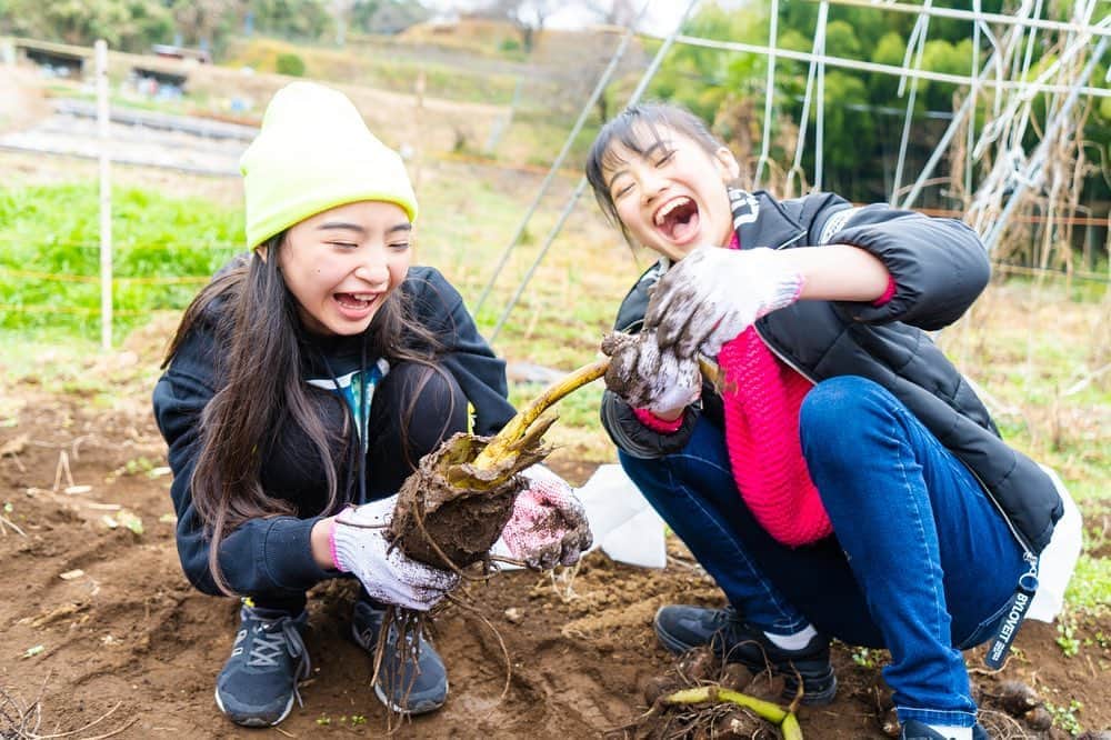 ニコ☆プチのインスタグラム：「﻿ 世界一かわいいお芋掘り😍﻿ ﻿ 自然な笑顔をどーーーんと公開📸﻿ ﻿ ﻿ お芋掘りの様子はニコ☆プチTVでも公開中だよー✨﻿ ﻿ ﻿ #ニコプチ﻿ #お芋掘り﻿ #本多萌愛﻿ #関谷瑠紀﻿ #高比良由菜﻿ #中山あやか﻿ #丸山真亜弥﻿ #入江美沙希﻿ #川本結月﻿ #葛西杏也菜﻿ #近藤藍月﻿ #有坂心花﻿ #桧山ありす﻿ #犬飼恋彩﻿ #和田美羽」