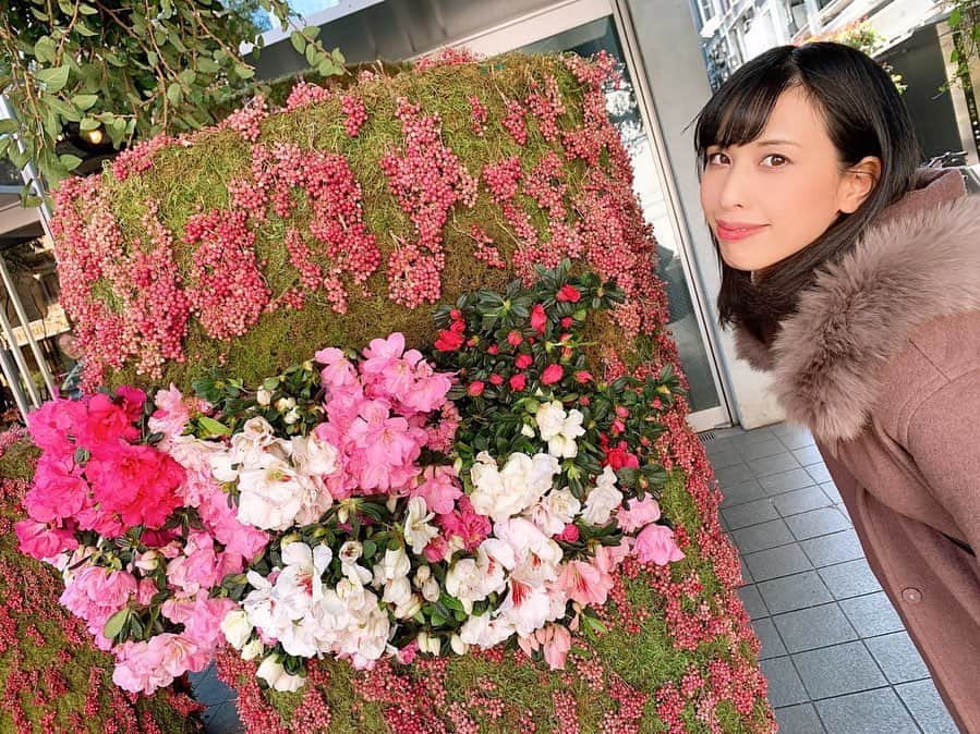 七尾カンナのインスタグラム：「. . 薫ちゃんと表参道ランチいってきた〜🤭💞 . AtoZcafeはめちゃめちゃ美味しかったし、ニコライバーグマンカフェは映え映えだった🥺💞 . 映え映えなのに映えれない自分の写真センスのなさを呪いたい🥺🥺 . 薫ちゃんは元々同じ事務所で久々に会ったのもあって色々語ってきました😌💞またランチいこーねん！ . . . . . #ニコライバーグマン #atozcafe #表参道 #表参道カフェ #表参道ランチ #カフェ #カフェスタグラム #フォローミー」