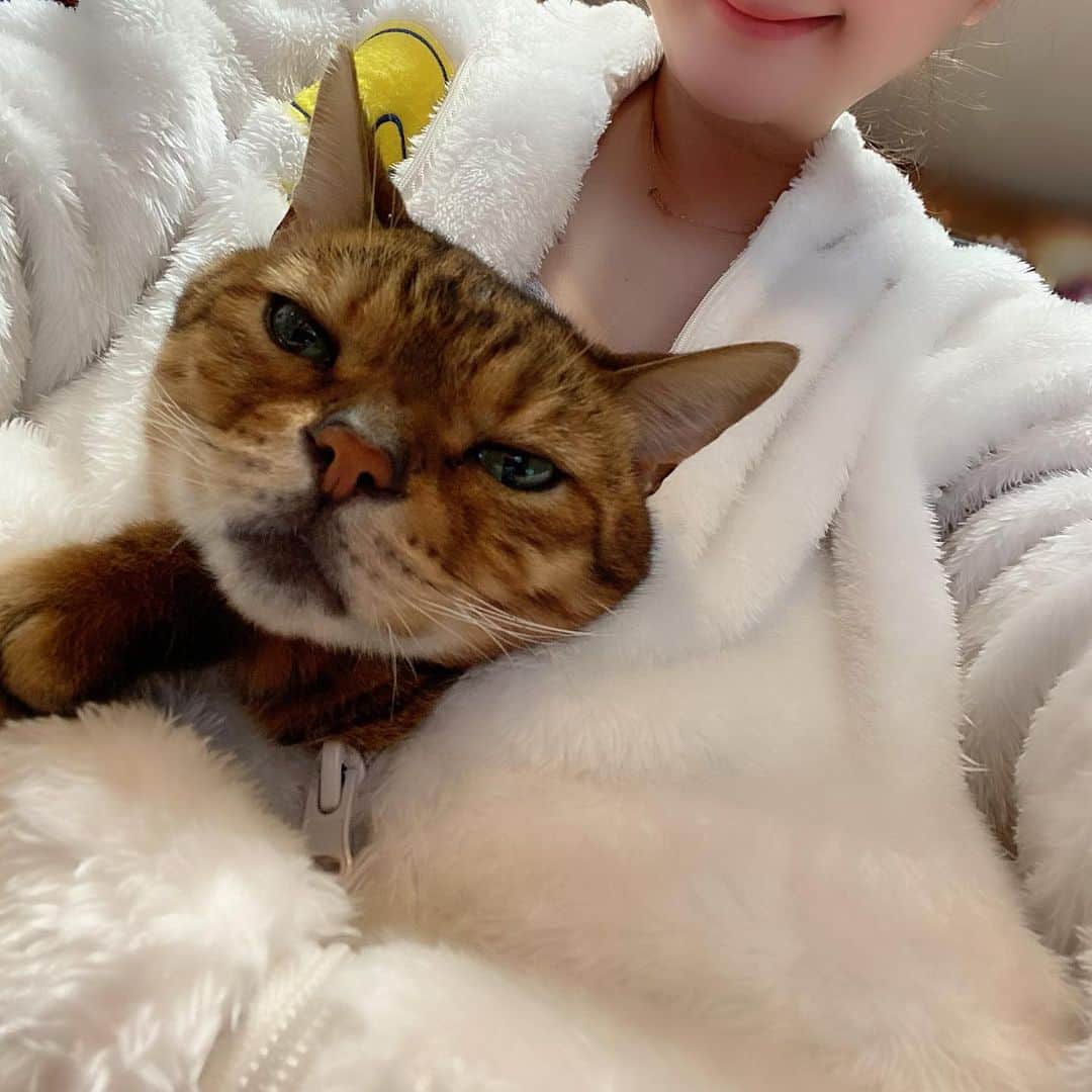 来栖あこのインスタグラム