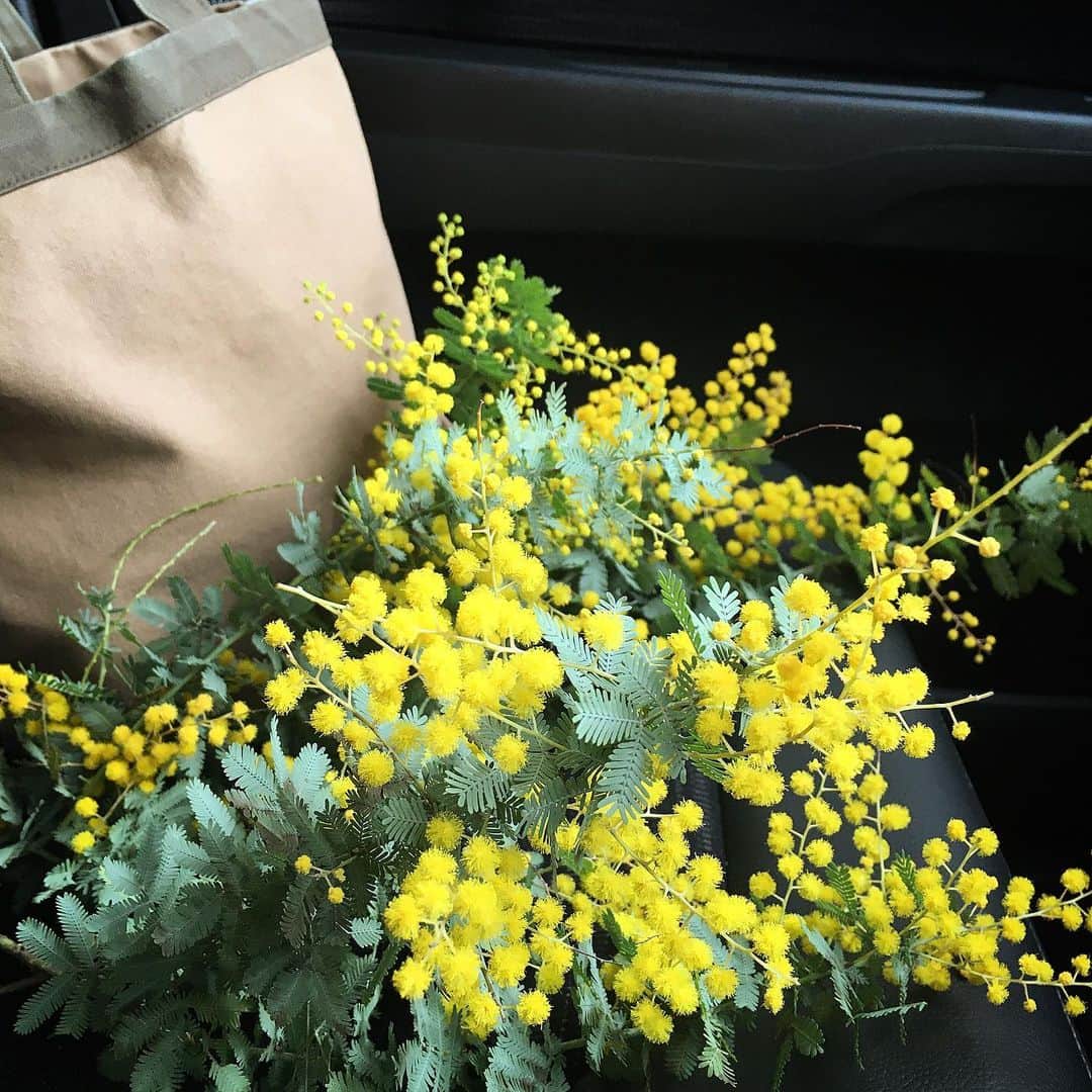 ecruのインスタグラム：「2020/03/06 (fri) 助手席にミモザ ・ 大好きなミモザを買いに行きました。 お部屋がパッと明るくなります。 ・ #ミモザ #お花のある暮らし」