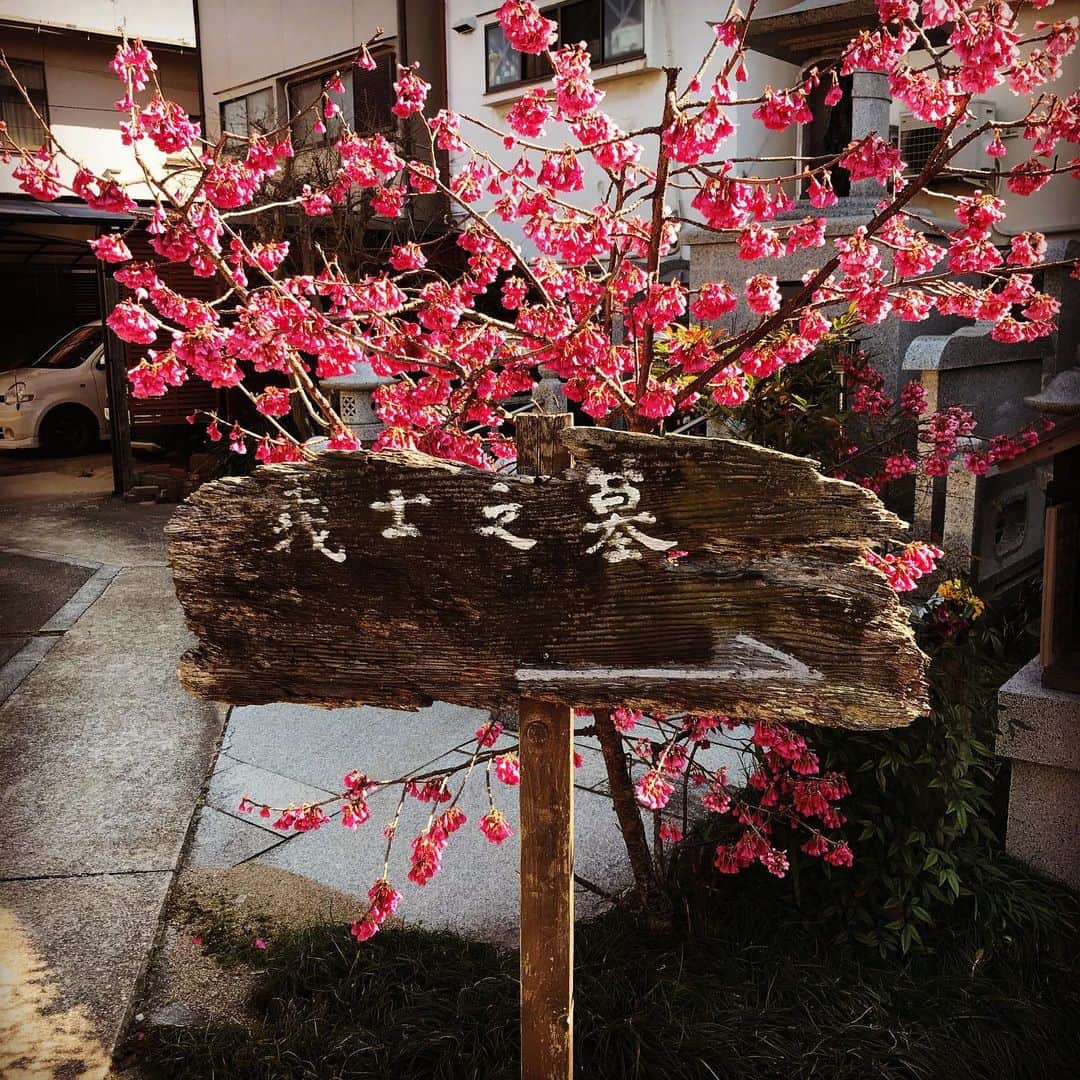 Larry のインスタグラム：「赤穂浪士御三方のお墓に御参りしてきました。  #一運寺  #忠臣蔵  #赤穂浪士  #大石内蔵助良雄  #大石主税良金  #寺坂吉右衛門信行  #天野屋利平衛」