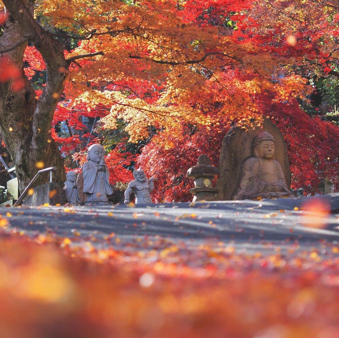 zekkei_ibarakiのインスタグラム：「【Zekkeiいばらきフォトコンテスト2019受賞作品📸】・ ・ ・ 「死ぬまでに行きたい！世界の絶景」と茨城県とが共同で開催した『Zekkeiいばらきフォトコンテスト2019❤️』・ ・ 受賞作品を順次ご紹介しております✨・ ・ 本日は「秋色賞」を受賞した2作品をご紹介😍・ ※今回は秋の期間のフォトコン開催だった為、秋色賞を設定しておりました！ ・ ・ 〈1枚目〉 タイトル: 「秋染まる永源寺」 投稿者:  Sho Irokawaさん 撮影スポット:  永源寺(大子町) ・ ・ 〈2枚目〉 タイトル: 「紅の世界」 投稿者:  @kunikunimania  投稿者スポット:  偕楽園もみじ谷(水戸市) ・ ・ 受賞作品の詳細はプロフィール欄のURLからご紹介しています😊・ ・ 是非チェックしてみてくださいね😻・ ・ ・ #zekkeiいばらき2019  #フォトコンテスト  #秋色  #絶景 #zekkei  #永源寺 #偕楽園もみじ谷」