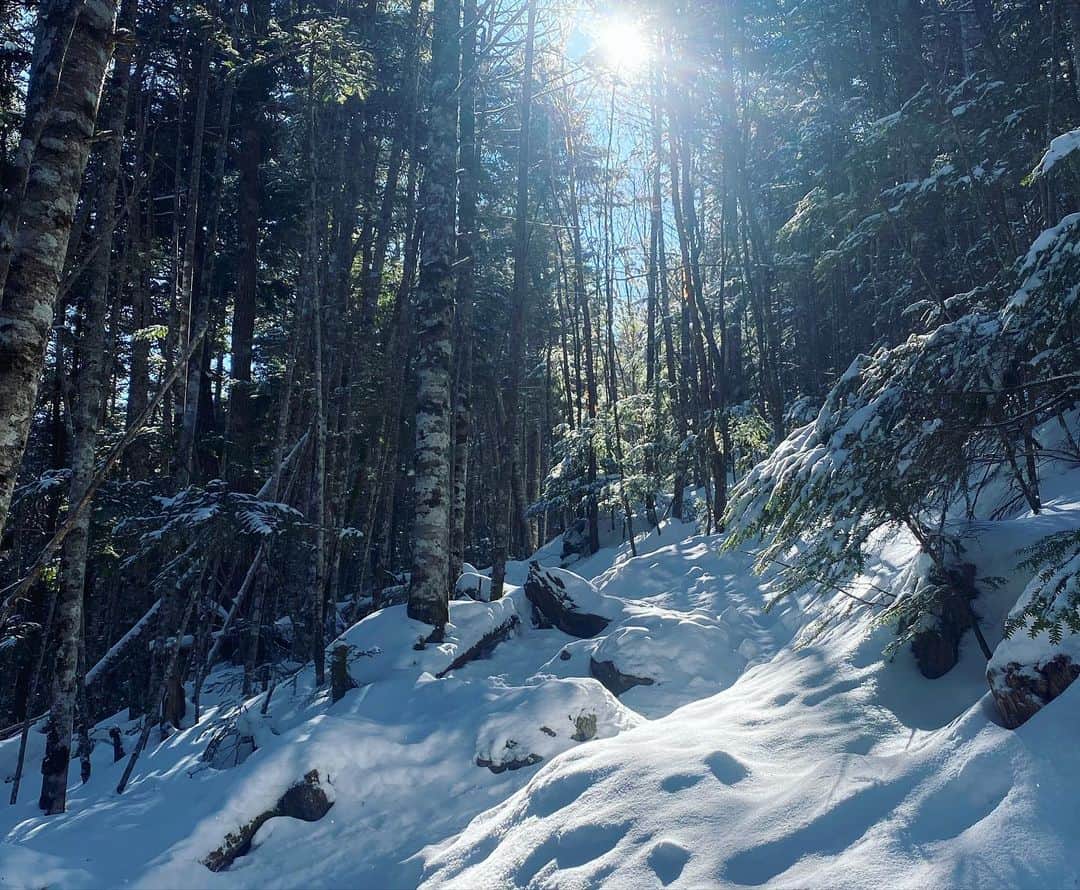 野口健さんのインスタグラム写真 - (野口健Instagram)「今日はテクテク山歩き。 山は静かでいい。心穏やかになる。 そして山に守られていると感じホッとする。ここが一番いい。下山中はたったの1人とも出会わなかった。まるで時が止まったかのような静けさ。聞こえるのは自分の息遣いとザクザクと雪を踏み締める音。あと風により木と木が擦り合う音。ここにいると様々な騒音から解放される。山は最もシンプルになれる場所。そして一番安全な場所。  #野口健」3月6日 17時33分 - noguchiken8848