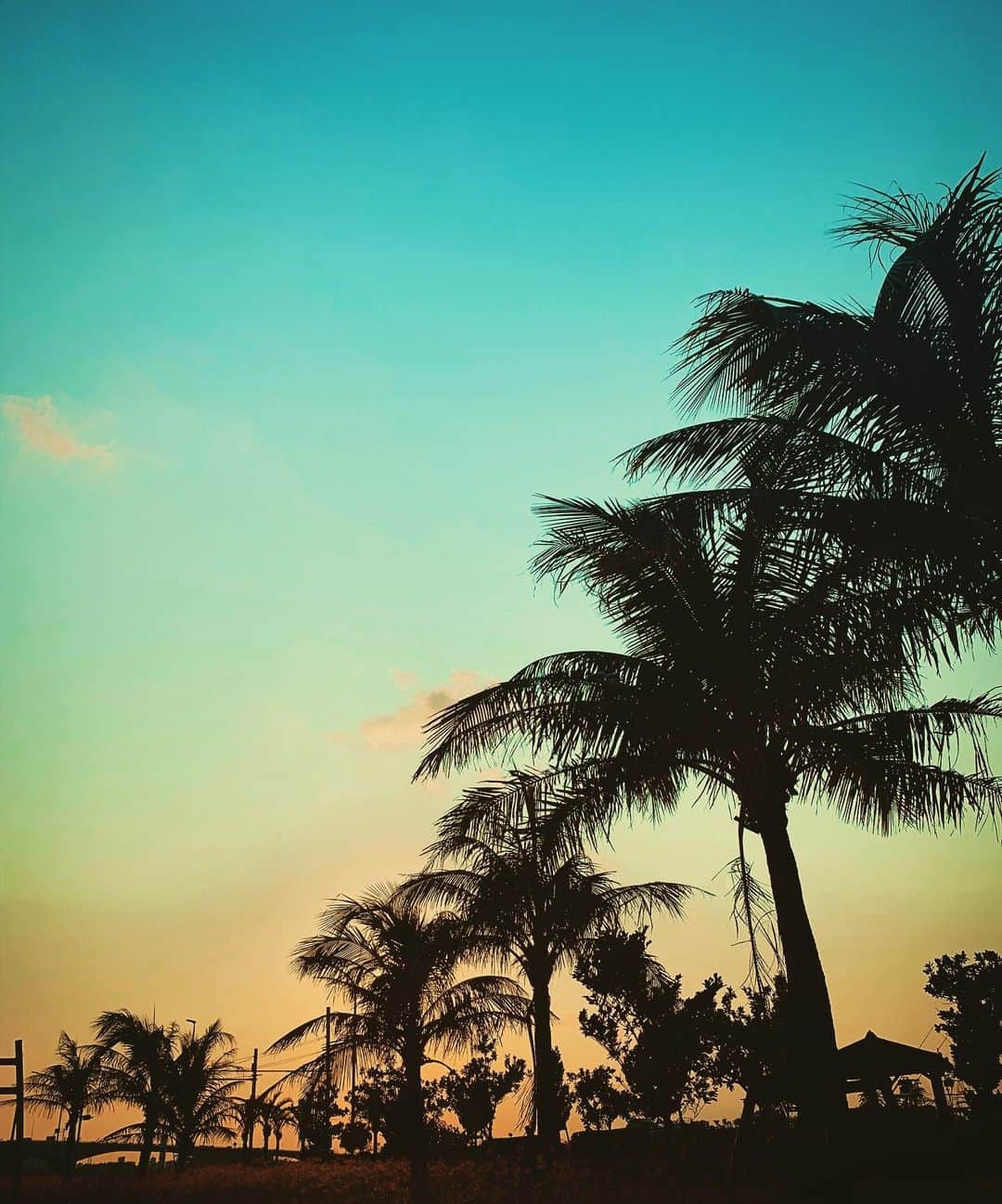 福田朋夏さんのインスタグラム写真 - (福田朋夏Instagram)「今日は久々に暖かくて気持ちいい一日だった🌞 #Okinawa #beautifulday #sunset」3月6日 18時00分 - tomoka_fukuda
