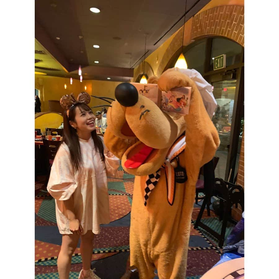 北条佳奈さんのインスタグラム写真 - (北条佳奈Instagram)「アメリカ旅行記🇺🇸day6❤️その2﻿ ﻿ ﻿ ﻿ この日はそんなに混んでなかったのでたくさんキャラクターがテーブルに遊びに来てくれたよ😭﻿ ﻿ ﻿ 料理も美味しいし、みんなたくさん遊びにきてくれるし、忙しかった😂🌈💕﻿ ﻿ ﻿ ﻿ 9枚目はデールに向かって『チップありがと〜🐿❤️』って言ってしまって、ガーンってしてるデールさん😂﻿ ごめんよデール…😭﻿ ﻿ ﻿ ﻿ ﻿ ミニーちゃん、ドナルド、デールに囲まれて撮れるなんて本当にラッキーだしとってもとっても幸せな時間なのでした🥺💓﻿ ﻿ ﻿ ﻿ ﻿ #disneyland_anaheim #disney #disneyland #disneygram #disneyphotography #disneyphoto #disneylife #disneyfans #disneyworld #goofyskitchen #ディズニーランド #ディズニー #アナハイムディズニー #ディズニー写真 #ディズニー好き #グーフィーズキッチン #キャラクターダイニング #tagsforlikes #instagood #followｍe #🏰」3月6日 18時03分 - kana_hojyo