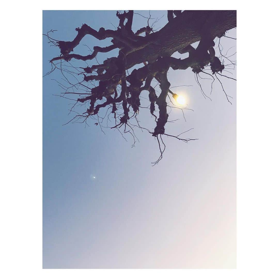 大塚愛さんのインスタグラム写真 - (大塚愛Instagram)「空はこんなにも綺麗  瞳から綺麗を吸って  体の中に行き渡れ  AIO　#夕暮れ」3月6日 18時14分 - aiotsuka_official
