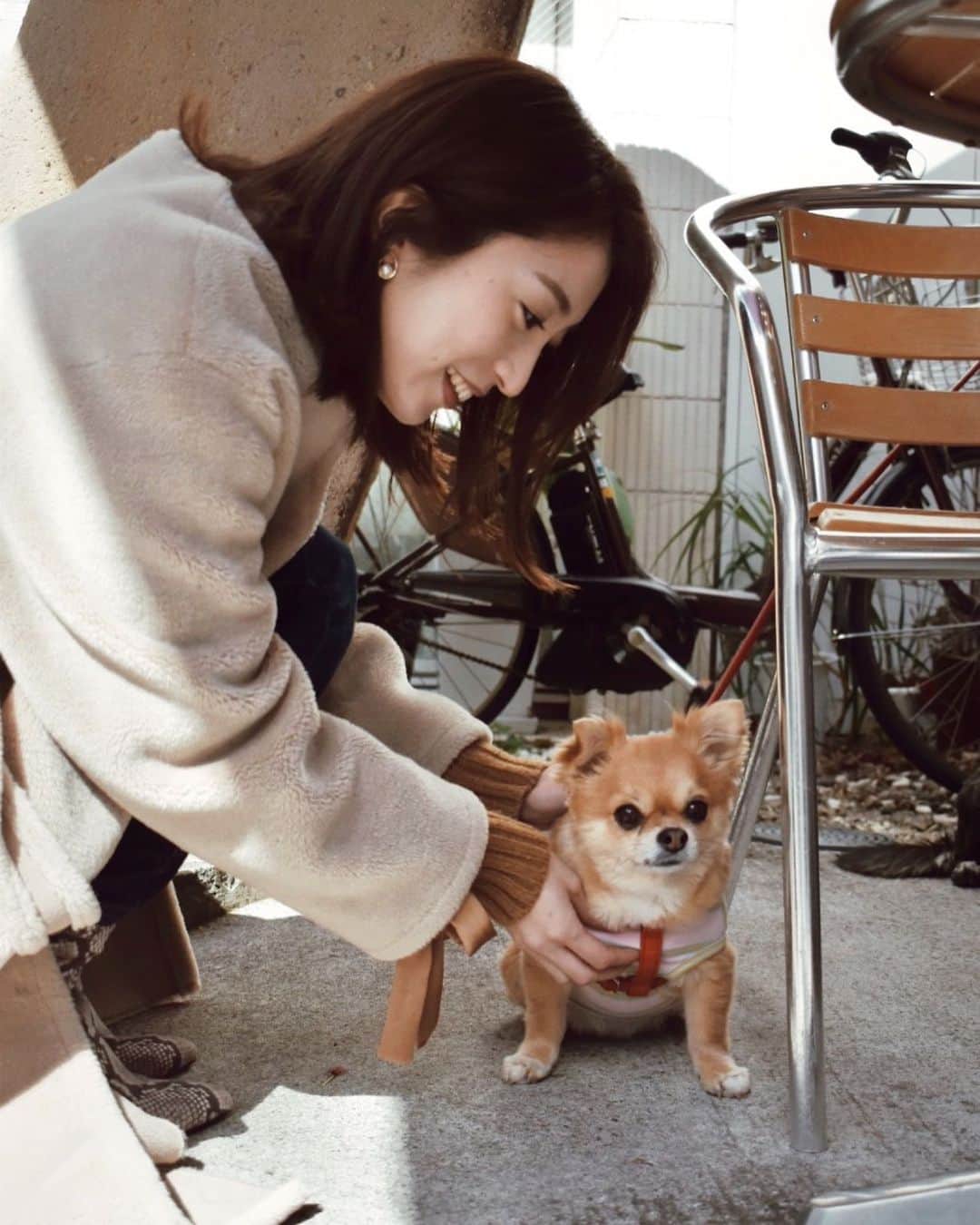 のインスタグラム：「朝活するとお散歩中のワンチャンにたくさん遭遇するから犬派の私としては癒ししかなかった👼✨🐶 ． ． #朝活 #犬 #チワワ #どういう感情 😂」