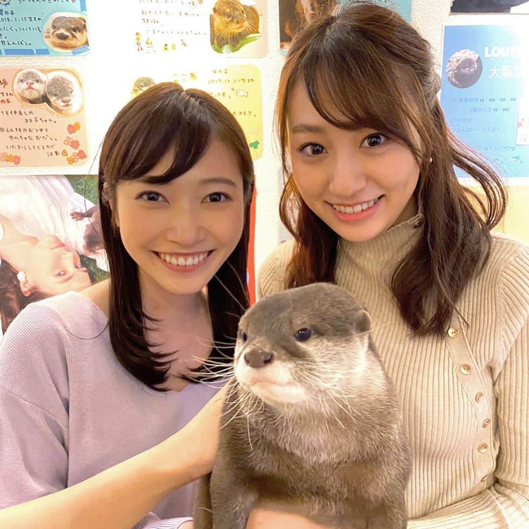 末井櫻子のインスタグラム：「． ． 先日舞風ちゃんと京都で会いました😌🍃 ． ． 舞風ちゃんオススメのとろろ飯と、フラッと入ったカフェの抹茶わらび餅が絶品でした🍃 ． ． そしてなにより皆さんにオススメしたいのは カワウソカフェです🤎 ． ず〜っとカワウソと触れ合ってみたかったので、幸せな空間でした♡ 双子のカワウソ おだしちゃんとおつゆちゃんにメロメロでした🤭❤︎ ． ． 京都に行かれる際は是非☺️☺️🌸 ． ． ． #お久しぶりのさくまいです👭🏻 #もうすぐ一個上の3人が卒業で寂しいです😢 #いつもいいねやメッセージありがとうございます🌸 #京都 #京都観光  #loutre #カワウソカフェloutre  #カワウソカフェ #カワウソカフェ京都  #おだしとおつゆ  #葱や平吉 #葱や平吉高瀬川店 #とろろ飯  #ぎをん小森 #京都カフェ  #河原町 #河原町カフェ #河原町ランチ」
