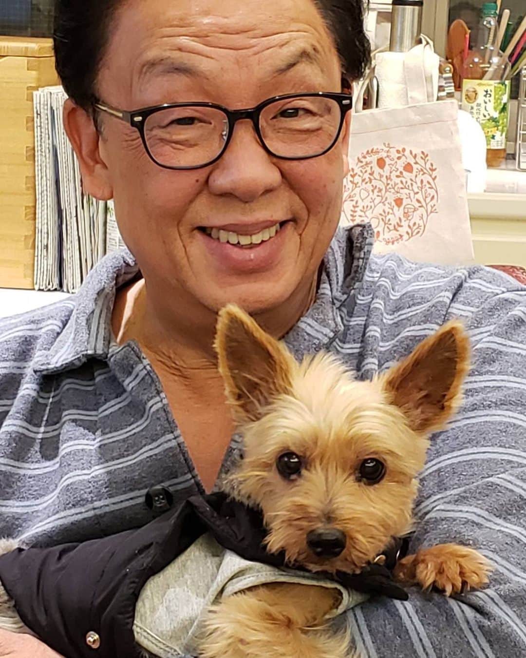 梅沢富美男さんのインスタグラム写真 - (梅沢富美男Instagram)「我が家の新しい家族、マリちゃんです！ 保護犬カフェからうちにきたおばあちゃん。 でもかわいいでしょ！ 夢ちゃんとも仲良く暮らしてます。」3月6日 21時26分 - tomioumezawa