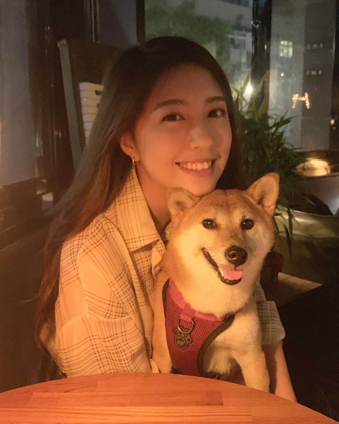 辜莞允（Nono Ku）のインスタグラム：「有人說很久沒見到巴古 一次給你滿滿滿！ 每天帶她散步到處找地方去 下個禮拜就滿六歲了嗚嗚長慢一點好不好」