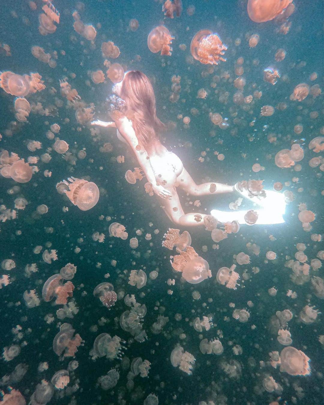 Manamiのインスタグラム：「📍Jellyfish lake 信じられない数のくらげちゃんたち🧡🧡🧡 ここのクラゲたちは外敵がいないから毒性がかなり弱いから、 触っても大丈夫なんだって💕 パラオに行くならここは絶対🧡 私は2回目だったけど、何度来ても感動しちゃう🥺✨ エルニーニョ現象で2017年には クラゲが激減してしまったらしいけど 去年からまたクラゲたちが復活して ツアーが再開されたみたいです✨ 泳ぐ時はクラゲたちを傷つけない様に優しくね🧜🏽‍♀️ ㅤ あ、裸に見えるけど裸ではないです😇笑 ㅤ 📸 @mina__37__ @aiai0311  @goprojp @gopro」