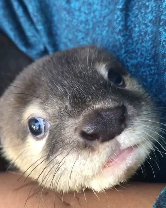 Paul Octaviousのインスタグラム