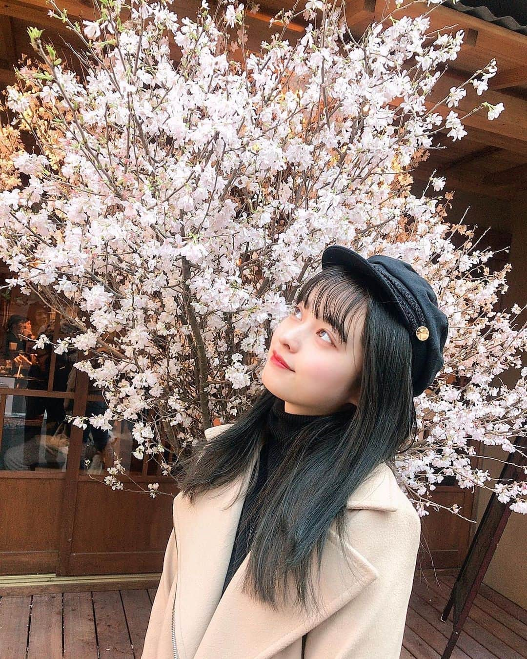 青山明日香さんのインスタグラム写真 - (青山明日香Instagram)「恵比寿に行った時に 可愛い🌸があったから撮ったよ☺️ お花見したーい。🙋‍♀️ #恵比寿 #恵比寿商店街 #桜」3月6日 23時11分 - asukaxx.02