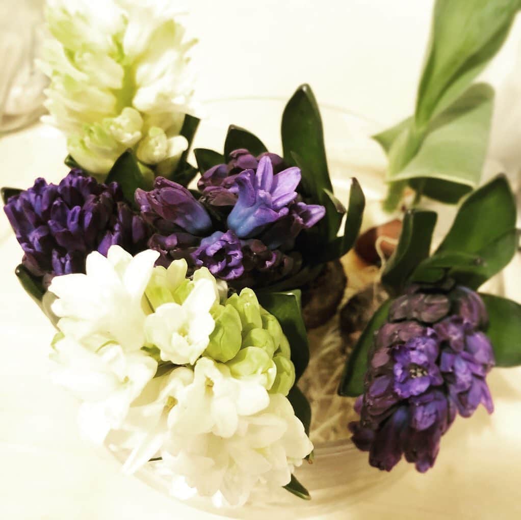 のインスタグラム：「お天気が良くて、お散歩ついでに買ってしまったお花達。初めて球根のお花を購入！育てられるか不安だけどよろしくどうぞ〜 同じニュースばかりで気が滅入りそうだから、お花でも見て少し落ち着きたい。」