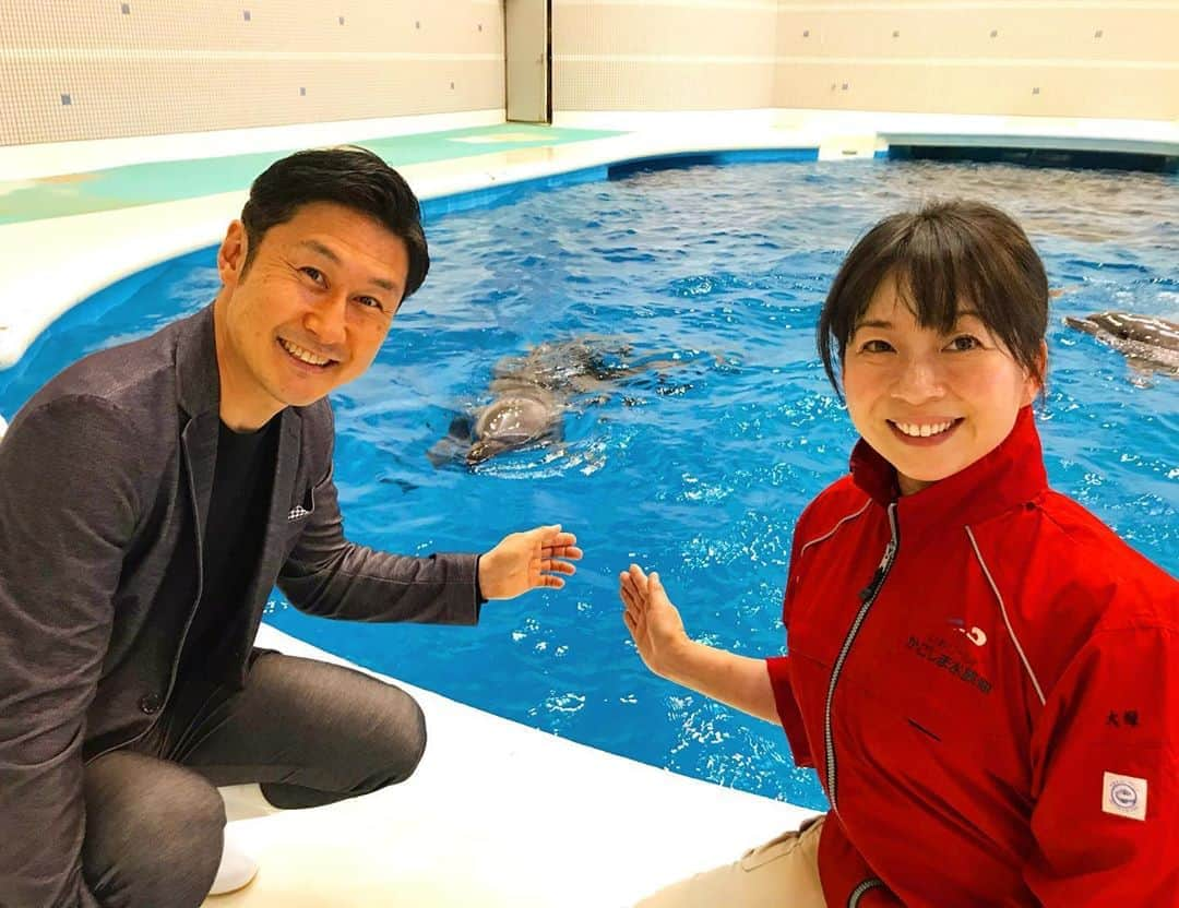 下山英哉さんのインスタグラム写真 - (下山英哉Instagram)「かごしま水族館の 獣医師・大塚美加さんに お話を聞きました  1月3日に生まれた ハンドウイルカのハッピー 好奇心旺盛で おてんばな性格だとか  母イルカのテンテンに 甘える姿がある一方で 既に鮮やかジャンプも披露  陽気なハッピー 将来が楽しみ  #かごしま水族館 #ハンドウイルカ #ハッピー #獣医師 #大塚美加　さん #いおワールドかごしま水族館  #いおワールド  #mbctv #mbc1ch #ニューズナウ #アナウンサー #下山英哉 #kagoshima #aquarium  #dolphin  #veterinarian  #announcer」3月21日 22時18分 - shimoyama.hideya