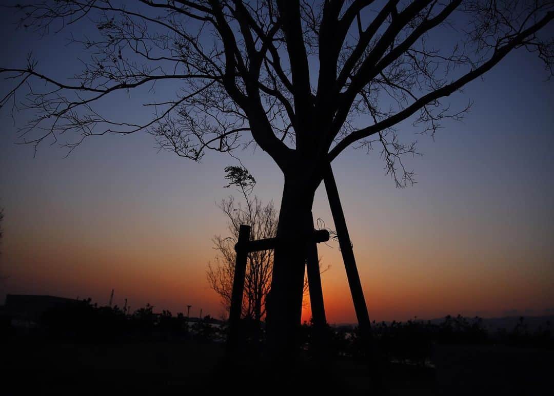 kazutakahamazatoのインスタグラム：「尼崎の夕景。 のびのび公園て名前のところ（笑）  #equal #三国美容室 #三国 #キッズルーム #子連れでいける  #hair#hairstyle #スタッフ募集 #縮毛矯正が得意  #コタ #COTA #ヘアケア #駅ちか #美容室 #美容室求人 #美容師募集 #スタイリスト募集 #アシスタント募集 #メンズ  #メンズヘア #ボブ #子供カット #トリートメント  #トキオトリートメント #酸性ストレート  #酸性デジタルパーマ #ヘアドネーション #写真好きな人と繋がりたい」