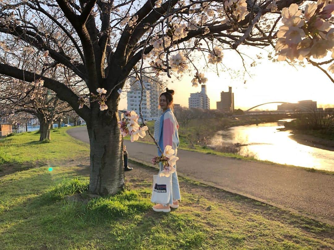 SONOMIさんのインスタグラム写真 - (SONOMIInstagram)「早咲きの桜の木の下で🌸 こちらは鴨居。 東京都内より遅いのかな〜。」3月21日 22時46分 - song_chang