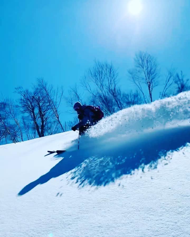 のインスタグラム：「・ ・ Spring time🌸 But it was so great🤙✨ ・ ・ 恵の雪❄️ 良きタイミングで巡り合わせてくれる @compasshouse に感謝🙏 ・ ・ @roxyjapan  @oakleyjapan  #3月 #snow #spring  #ski #powder  #teamueno」