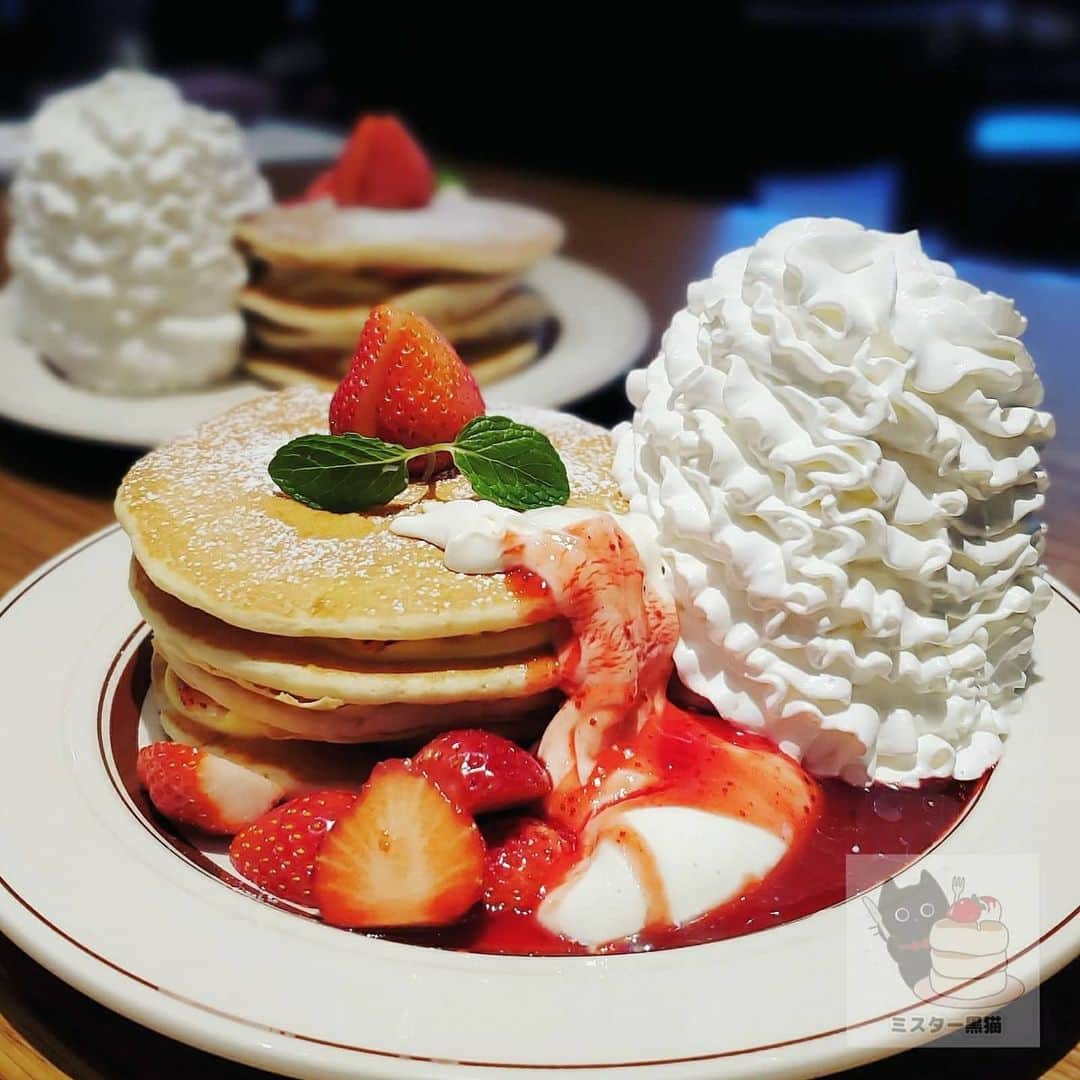 ミスター黒猫（黒猫仙人）のグルメインスタ