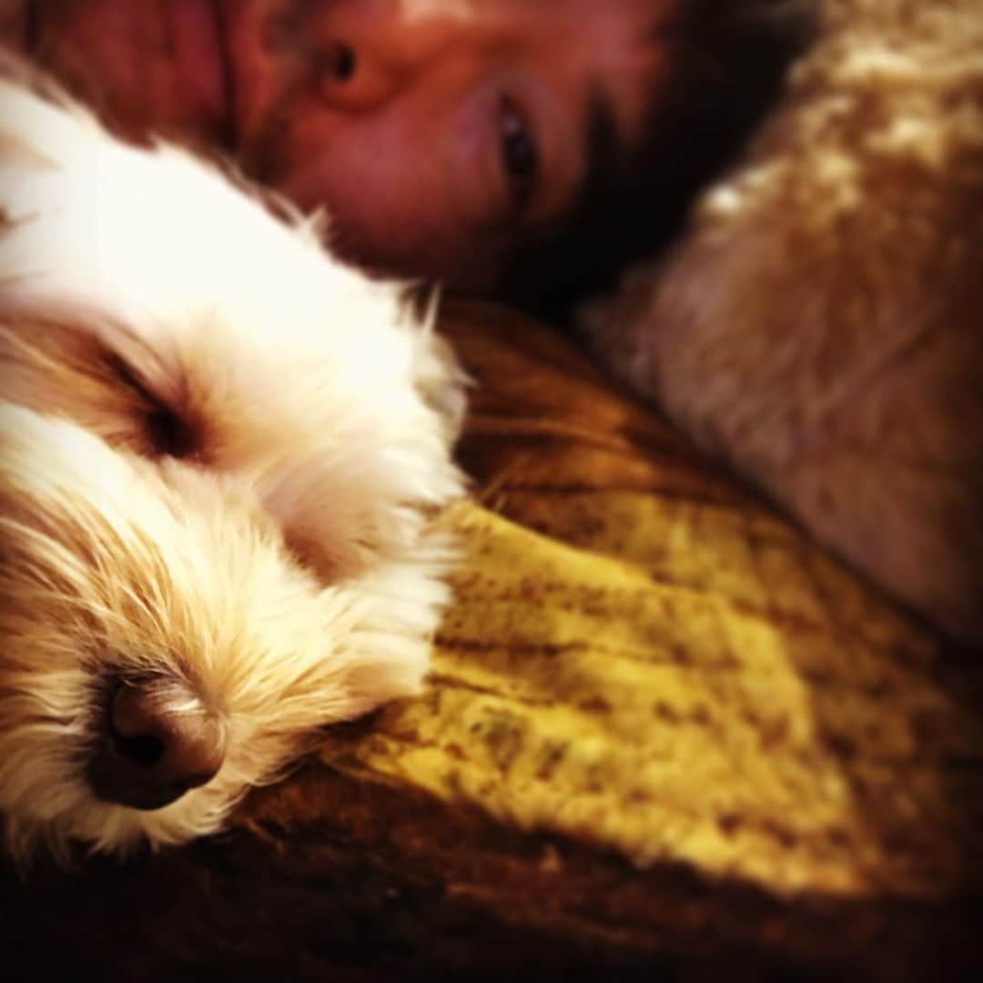 北山陽一のインスタグラム：「抱き枕と枕 #きたやまおもち #きたやまおかき」