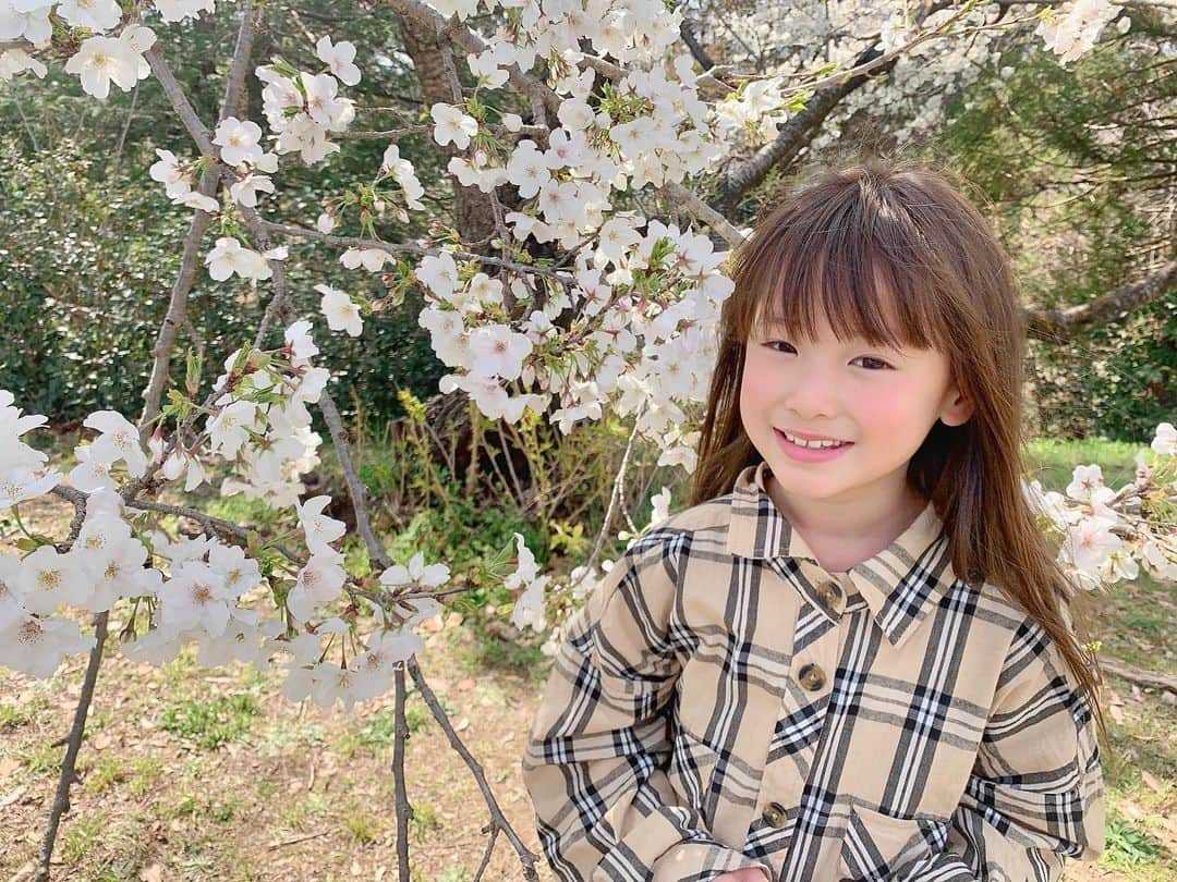 ひなさんのインスタグラム写真 - (ひなInstagram)「.＊ ひなと桜🌸 . #桜」3月21日 16時28分 - h.t_mom